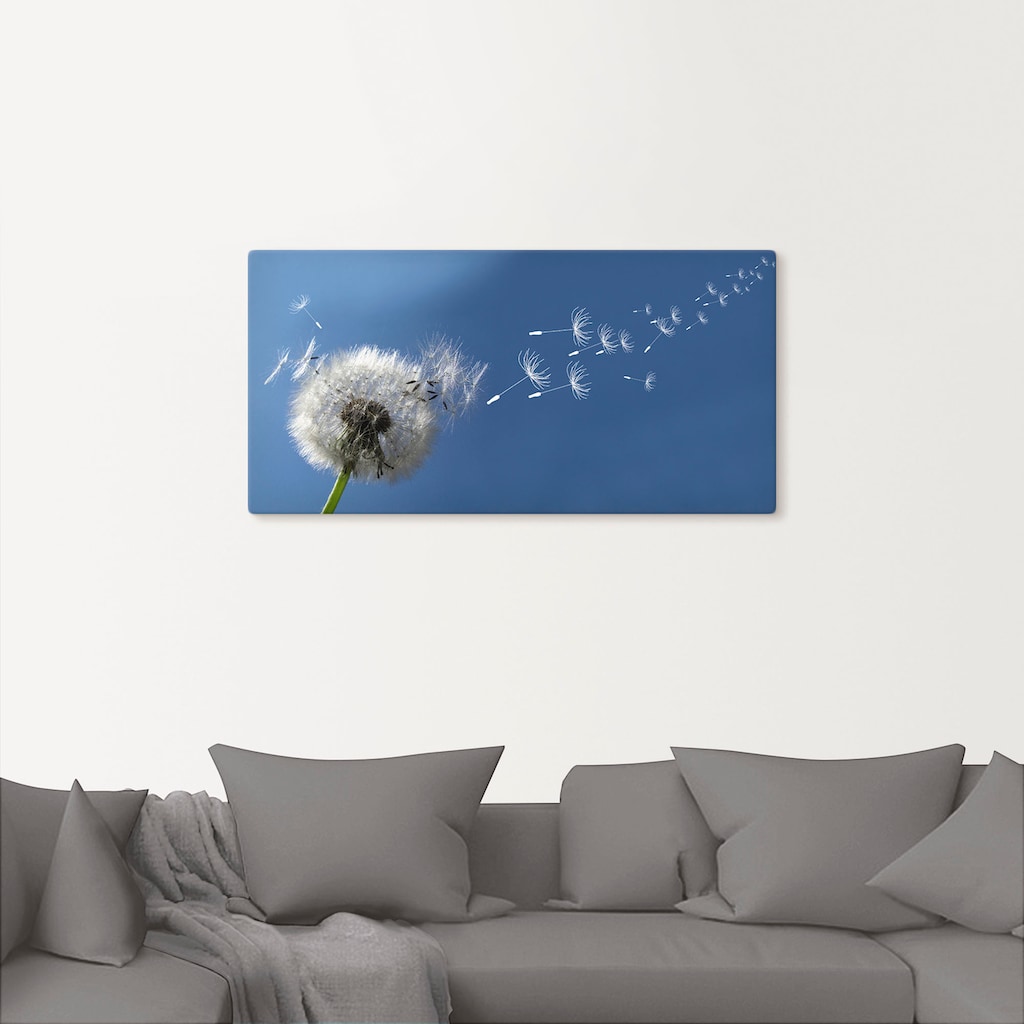 Artland Wandbild »Pusteblume«, Blumen, (1 St.), als Alubild, Outdoorbild, Leinwandbild, Poster in verschied. Grössen