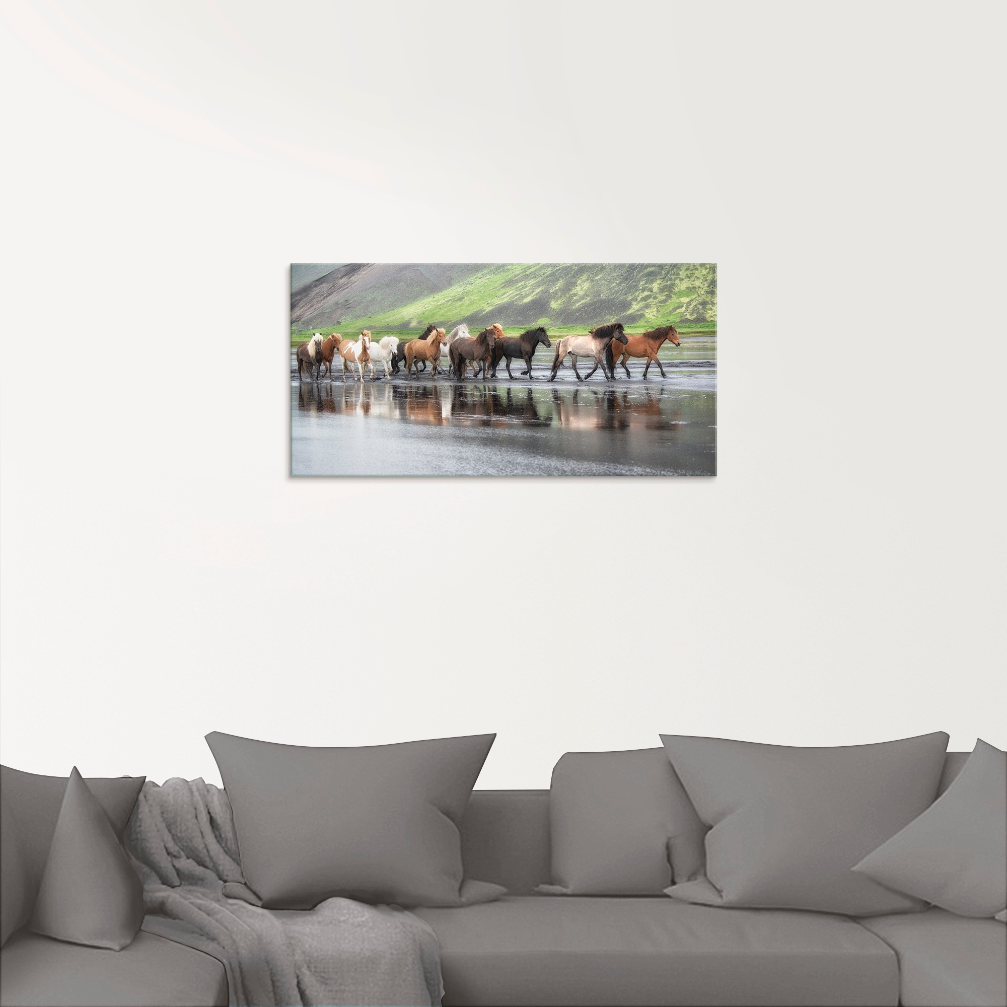 Artland Glasbild »Isländische Pferde XIV«, Haustiere, (1 St.), in verschiedenen Grössen