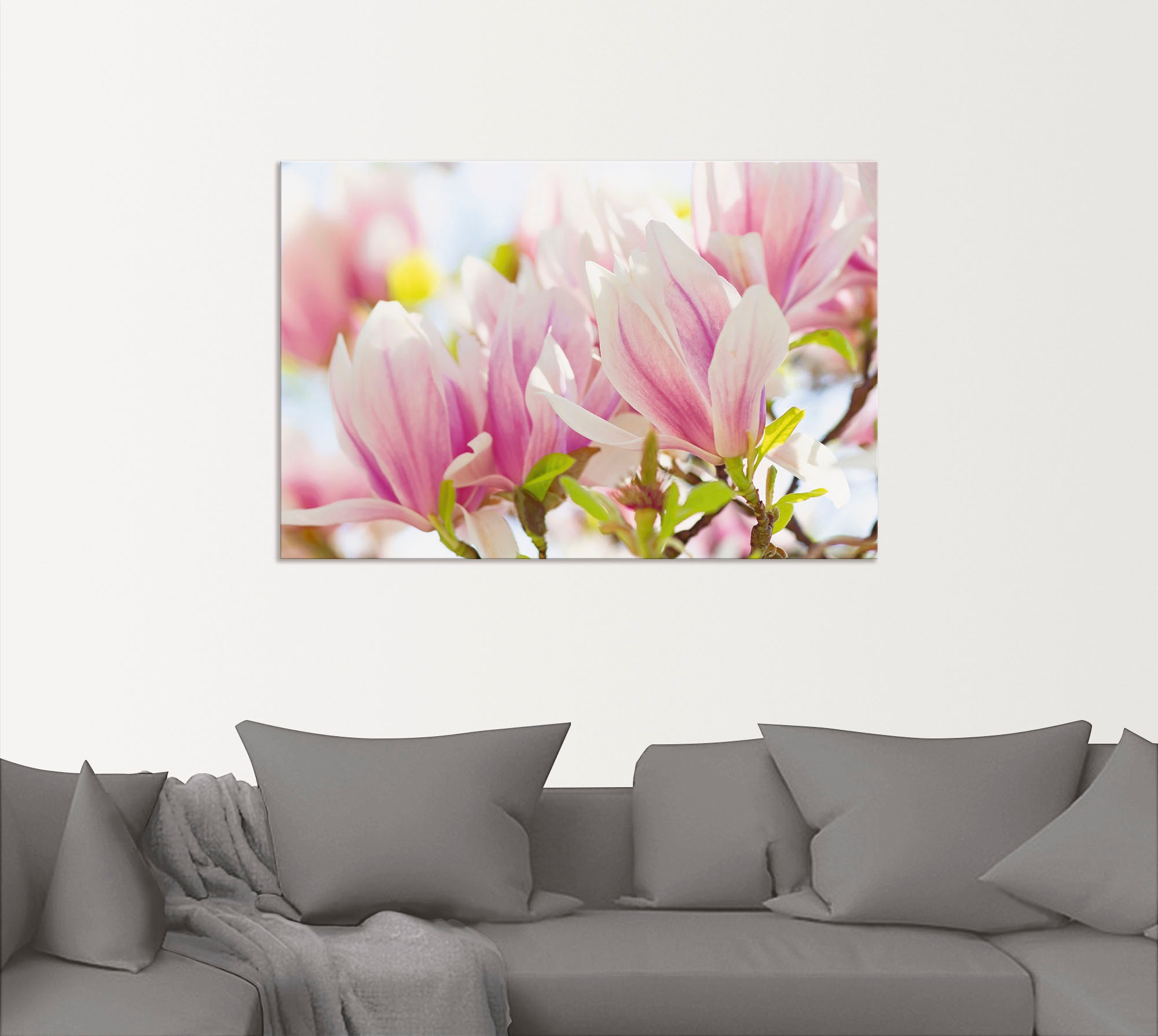 Artland Wandbild »Leuchtende Magnolien«, Blumen, (1 St.), als Alubild, Leinwandbild, Wandaufkleber oder Poster in versch. Grössen