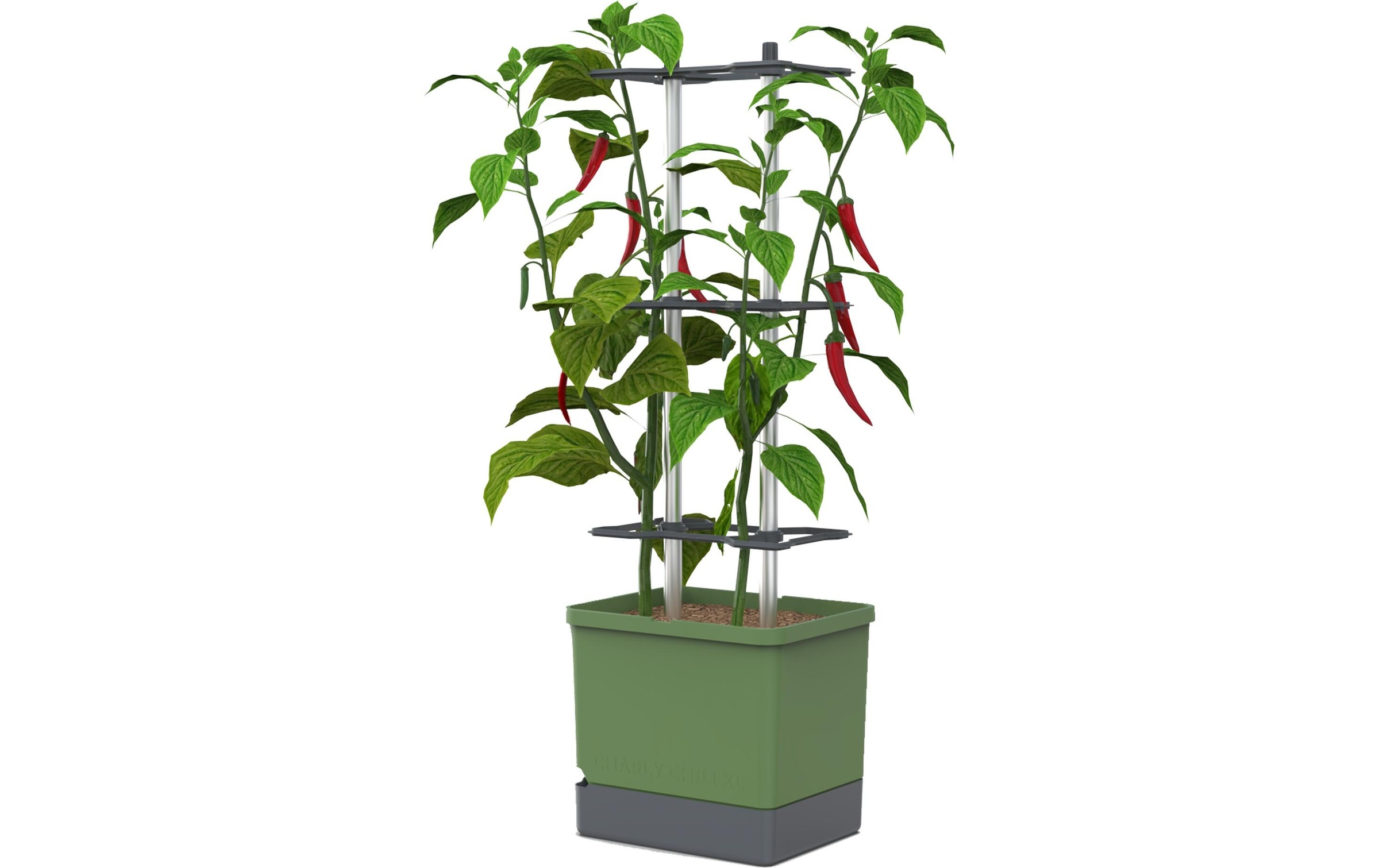 Gusta Garden Anzuchttopf »Charly Chili XL«