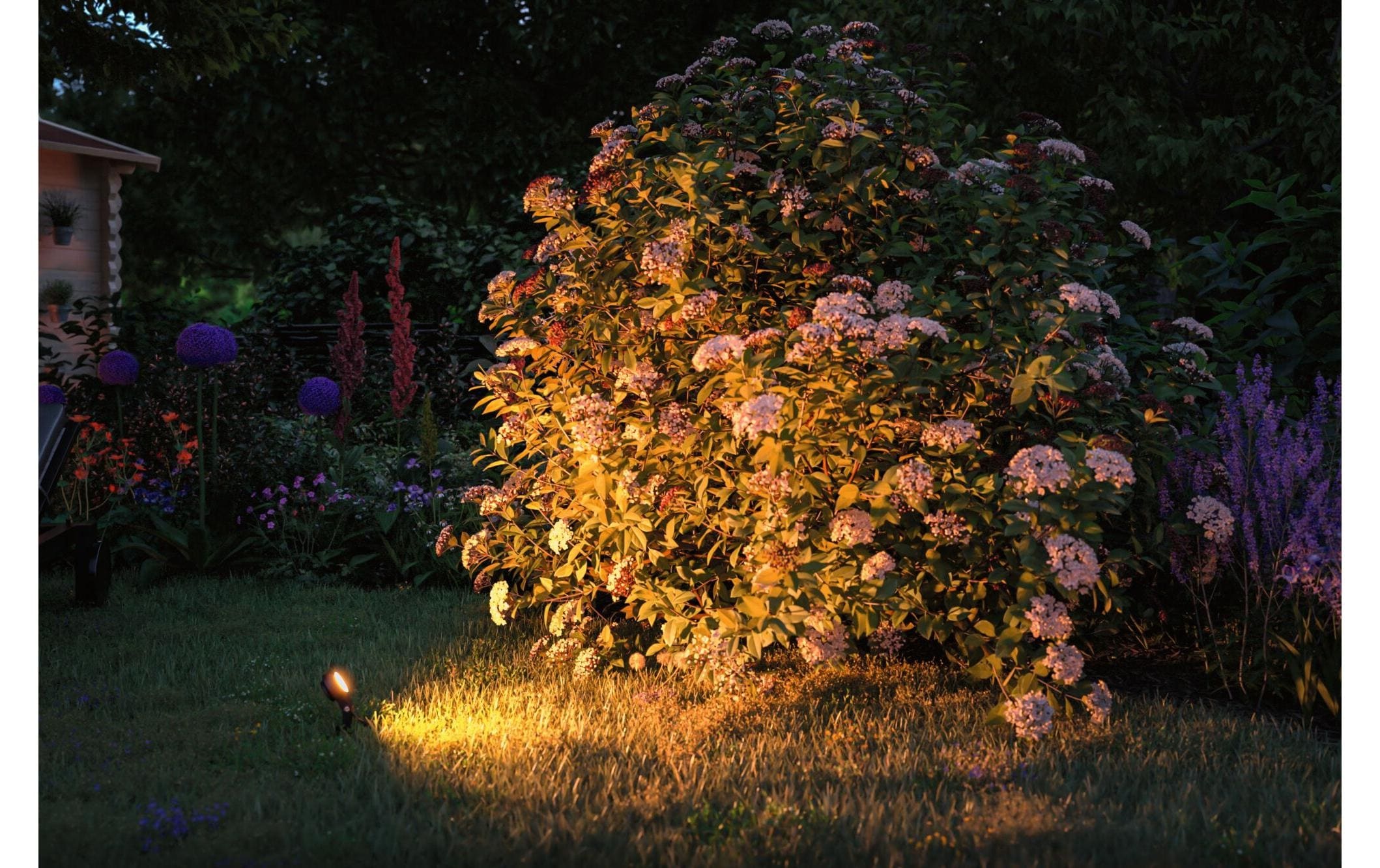 Paulmann Gartenleuchte »Plug & Shine Spot Sting«