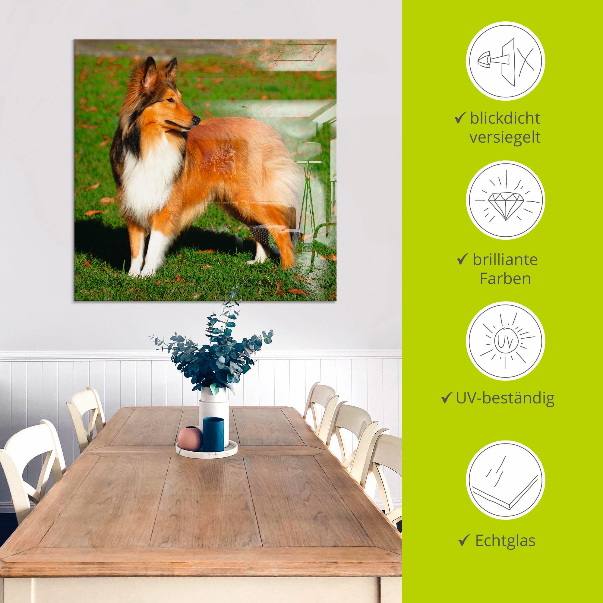 Artland Glasbild »Amerikanischer Collie«, Haustiere, (1 St.), in verschiedenen Grössen