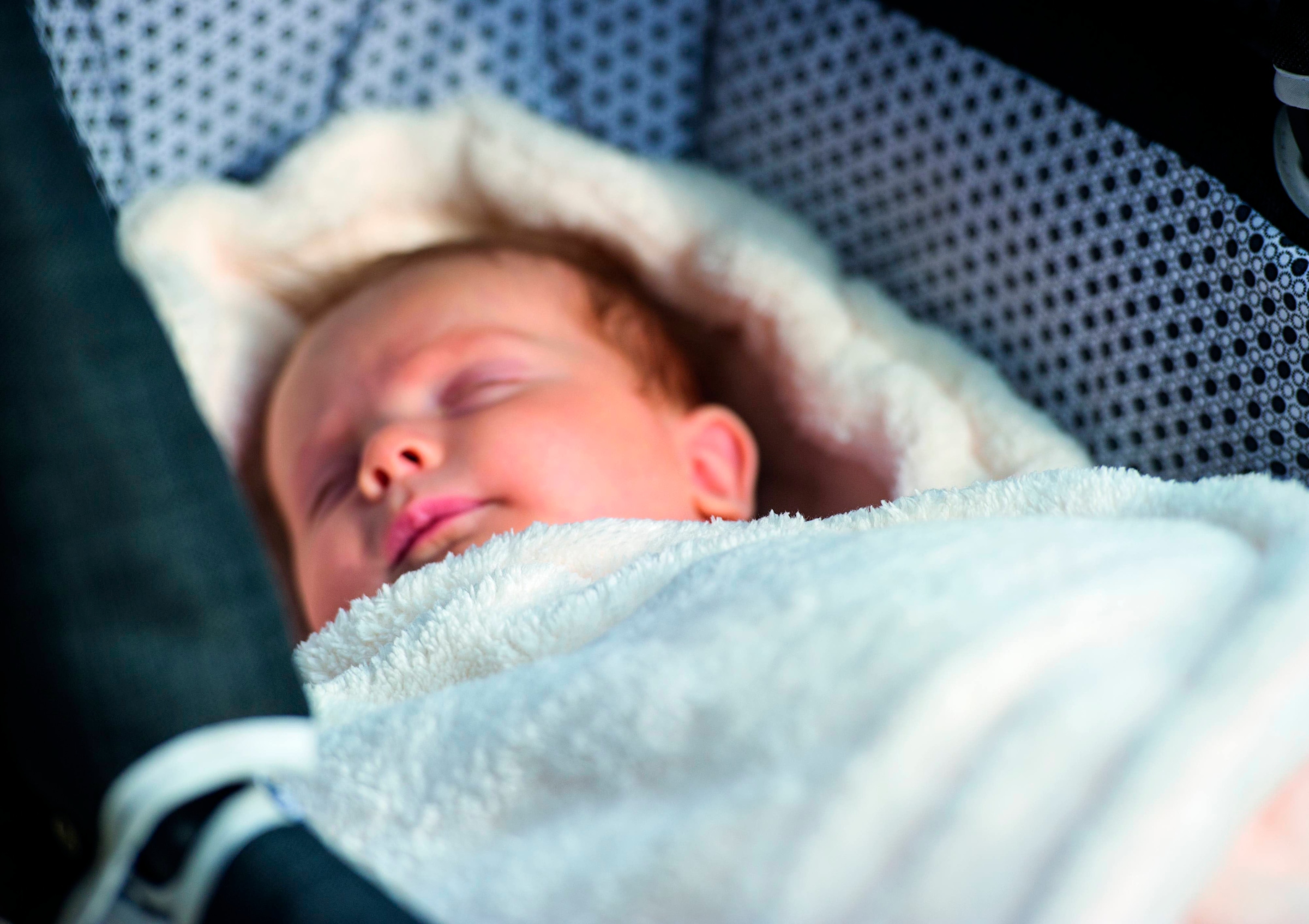 Hartan Kuschelnest »Pucknest«, passend für Hartan Kombi- und Falttasche; Made in Germany