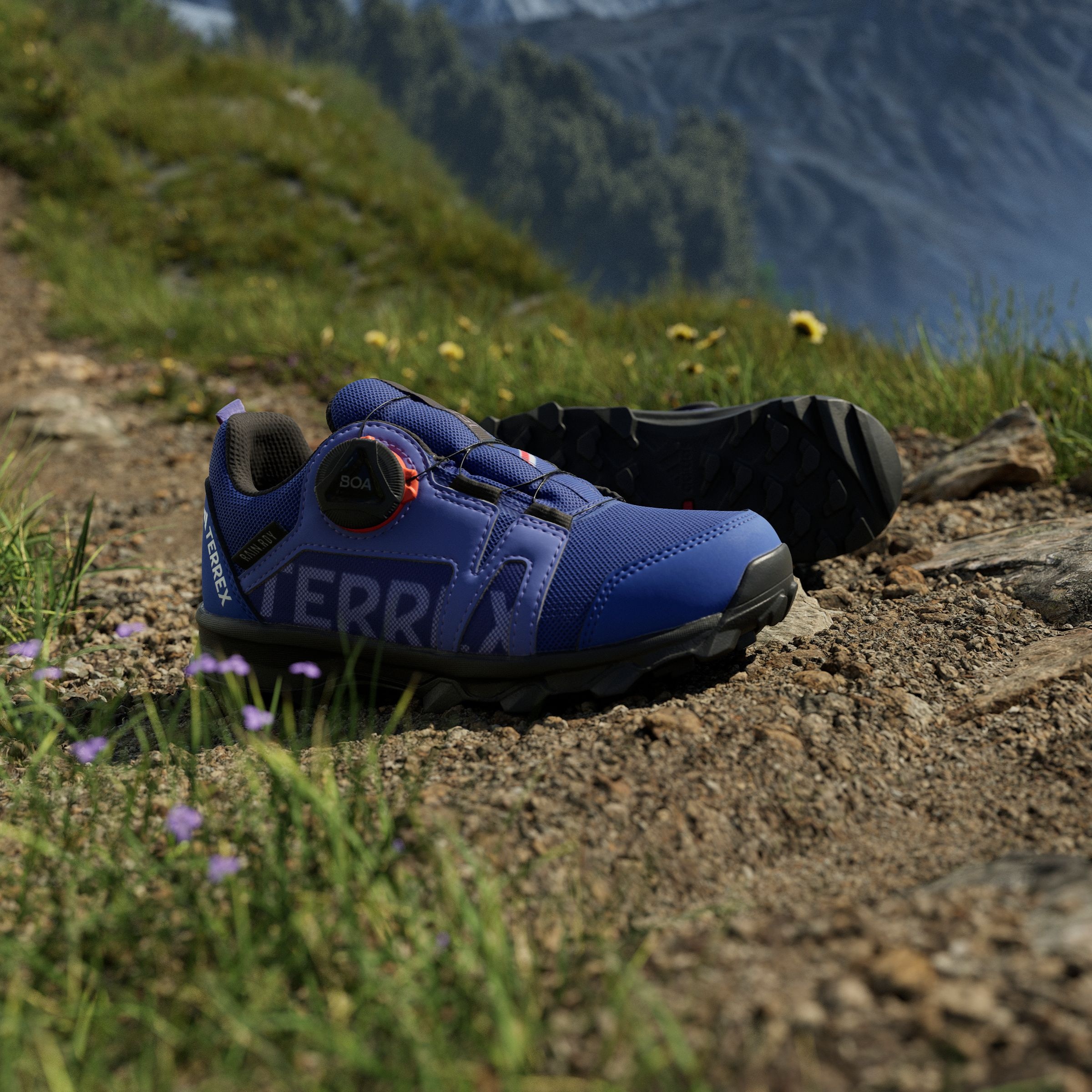adidas TERREX Trailrunningschuh »TERREX AGRAVIC BOA RAIN.RDY TRAILRUNNING«, wasserdicht