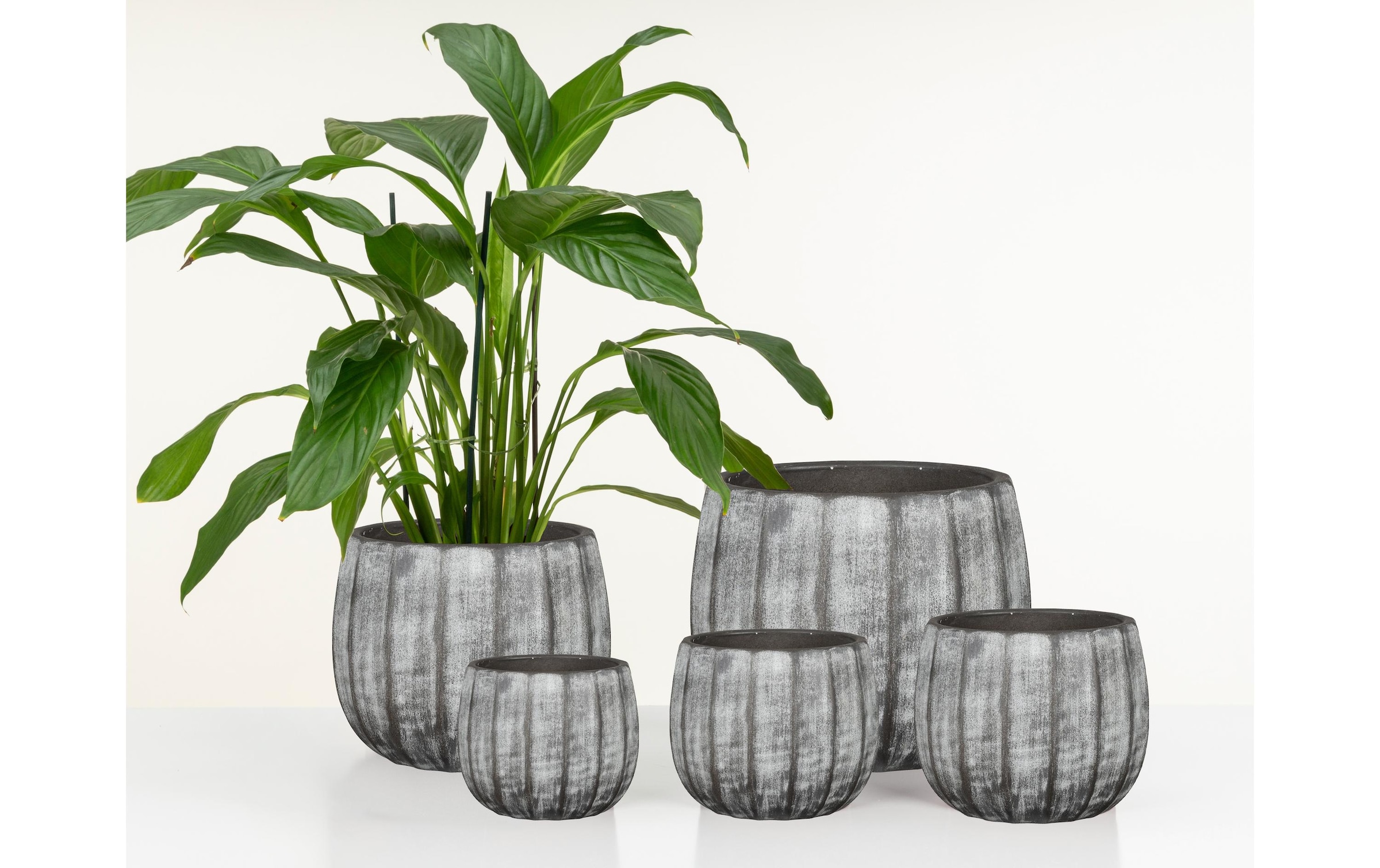 Scheurich Blumentopf »Runa 13 l«