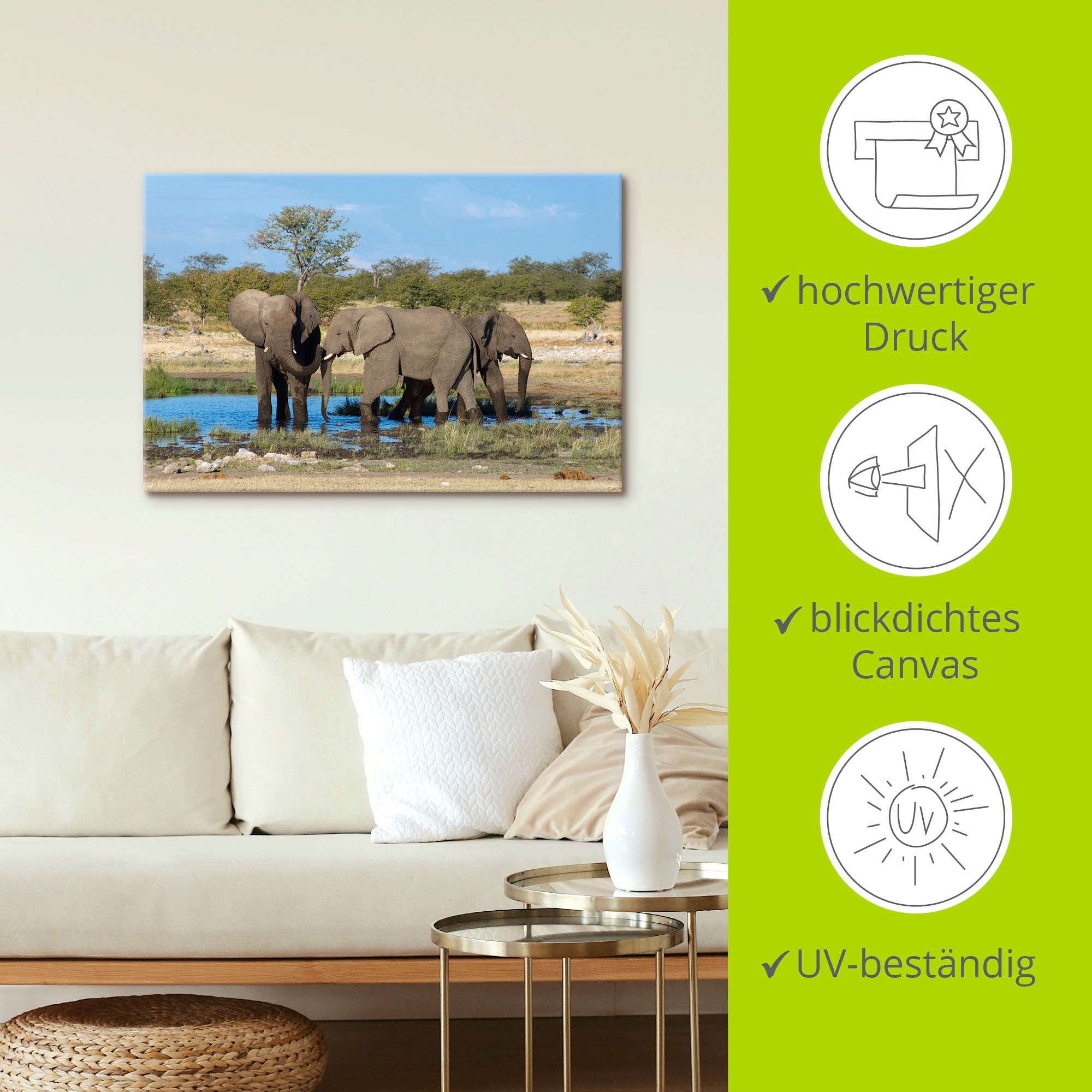 Artland Wandbild »Afrikanischer Elefant EtoshaNationalpark«, in Jelmoli-Versand St.), online Poster Grössen als | Bilder, (1 Wandaufkleber Alubild, kaufen oder Leinwandbild, versch. Elefanten