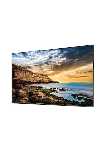 LCD-LED Fernseher »QE55T«, 139,15 cm/55 Zoll, 4K Ultra HD