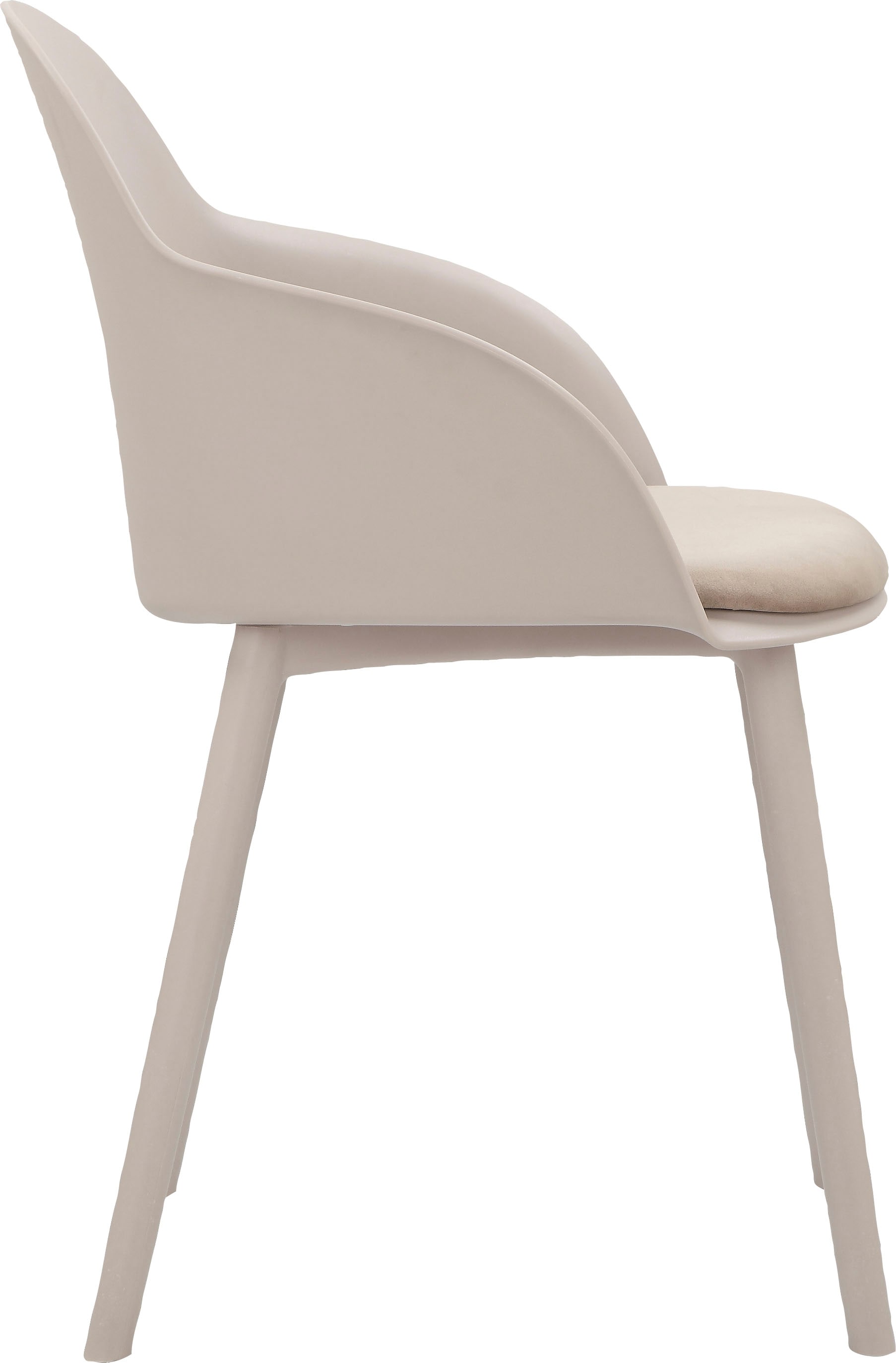 Veloursstoff, Schalenstuhl Sitzkissen Kunststoff, online INOSIGN 48 St., Sitzhöhe cm aus 2 kaufen ✵ Jelmoli-Versand | Veloursstoff, Esszimmerstuhl »Madelynn«,