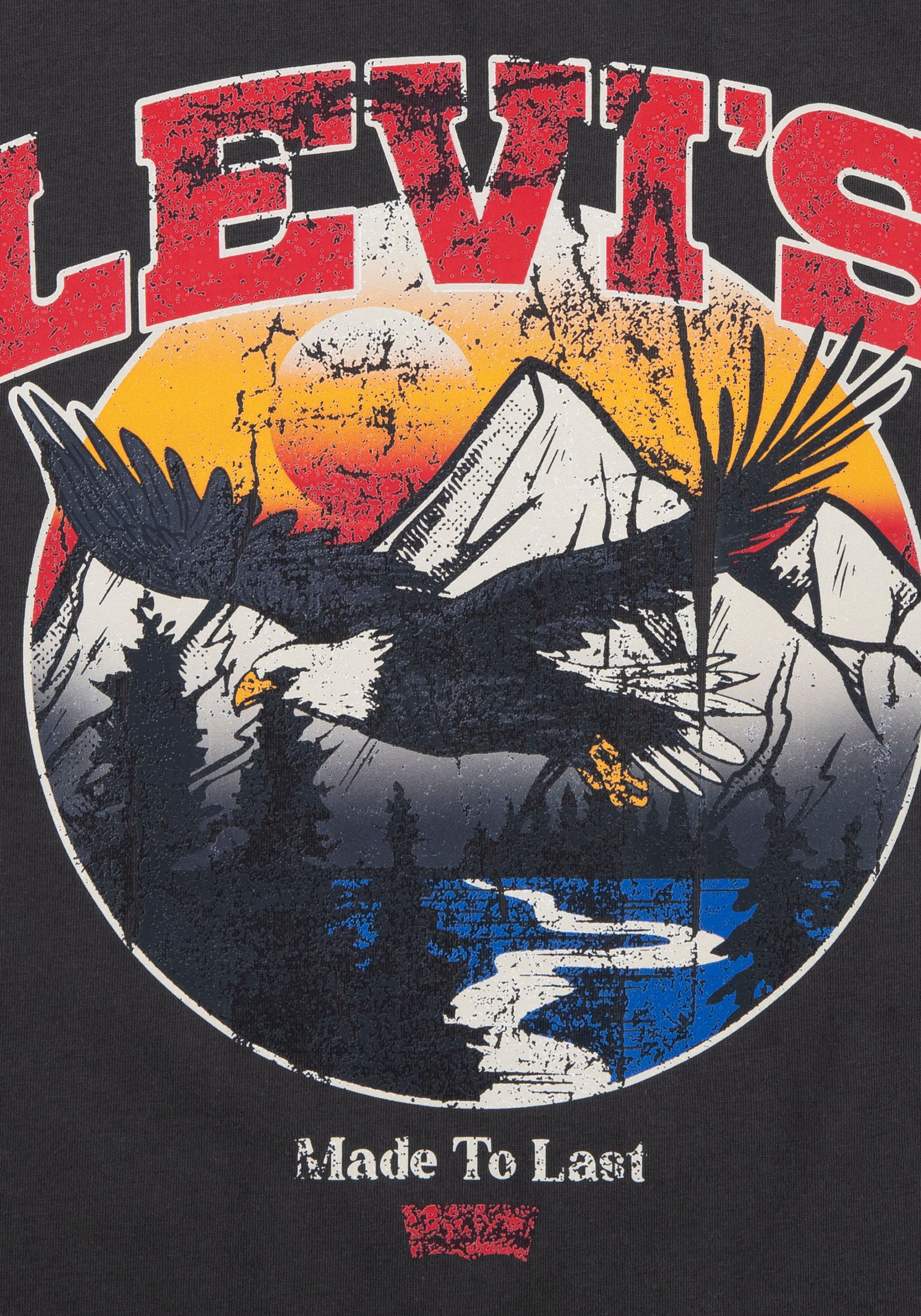 Levi's® Kids T-Shirt »LVB SOAR LIKE AN EAGLE TEE«, mit Frontprint im Used Look