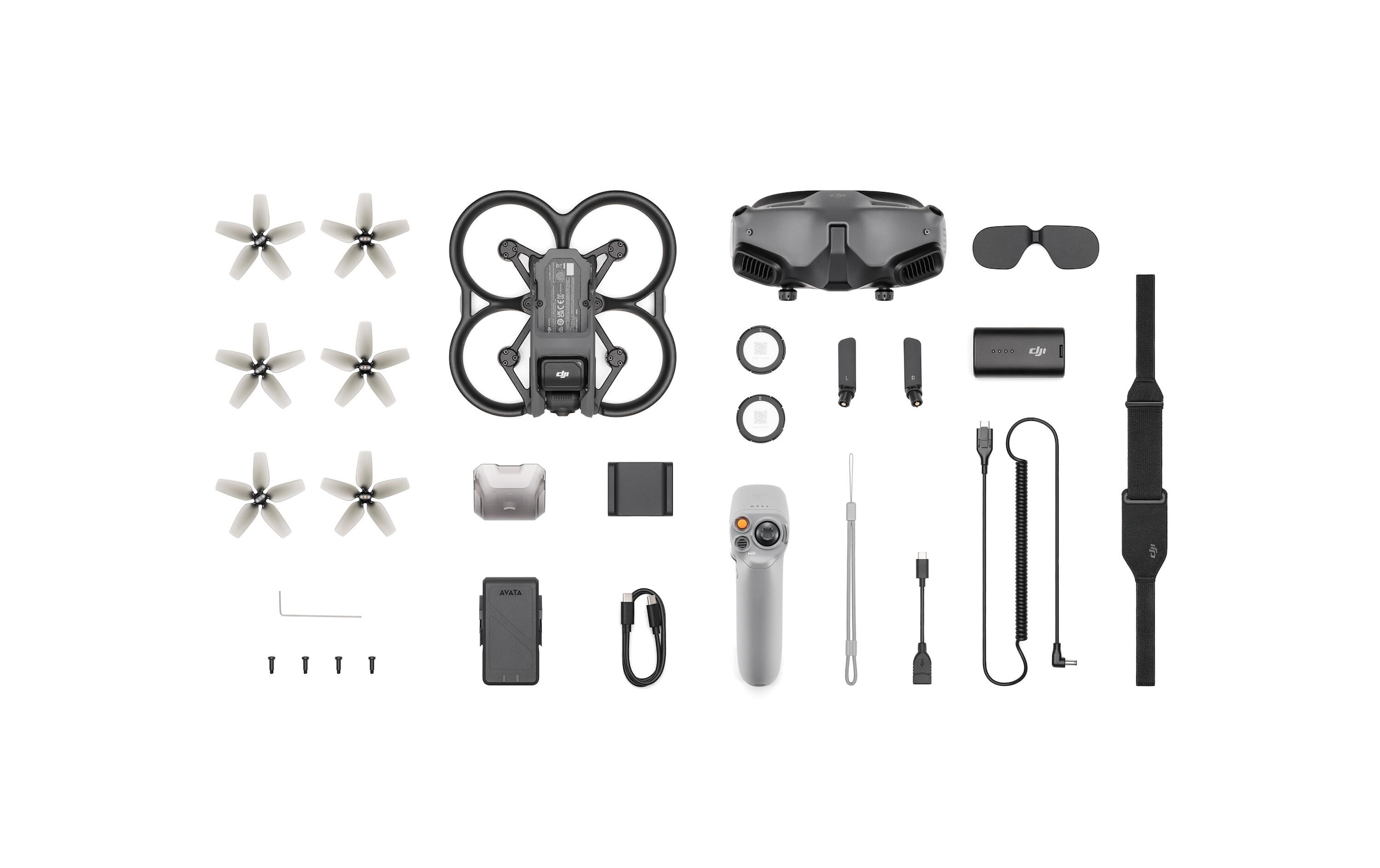 DJI Drohne »Avata Pro-View Combo RC Motion 2 mit Goggles 2«