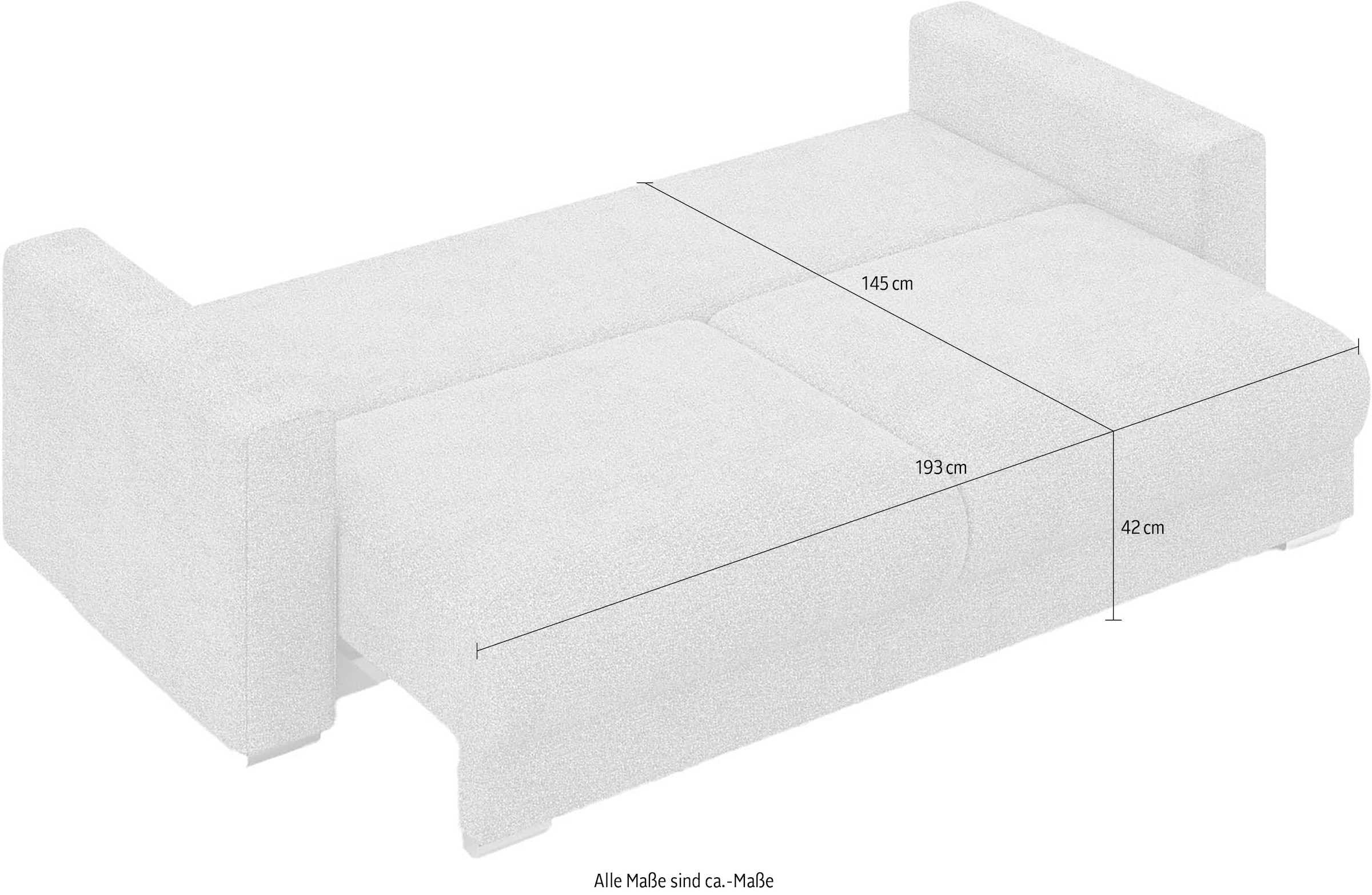 INOSIGN 3-Sitzer »Stevinson Schlafsofa mit Bettkasten, Masse B/H/T: 229/87/97 cm«, mit Wellenunterfederung, 2 Rückenkissen und 2 Zierkissen
