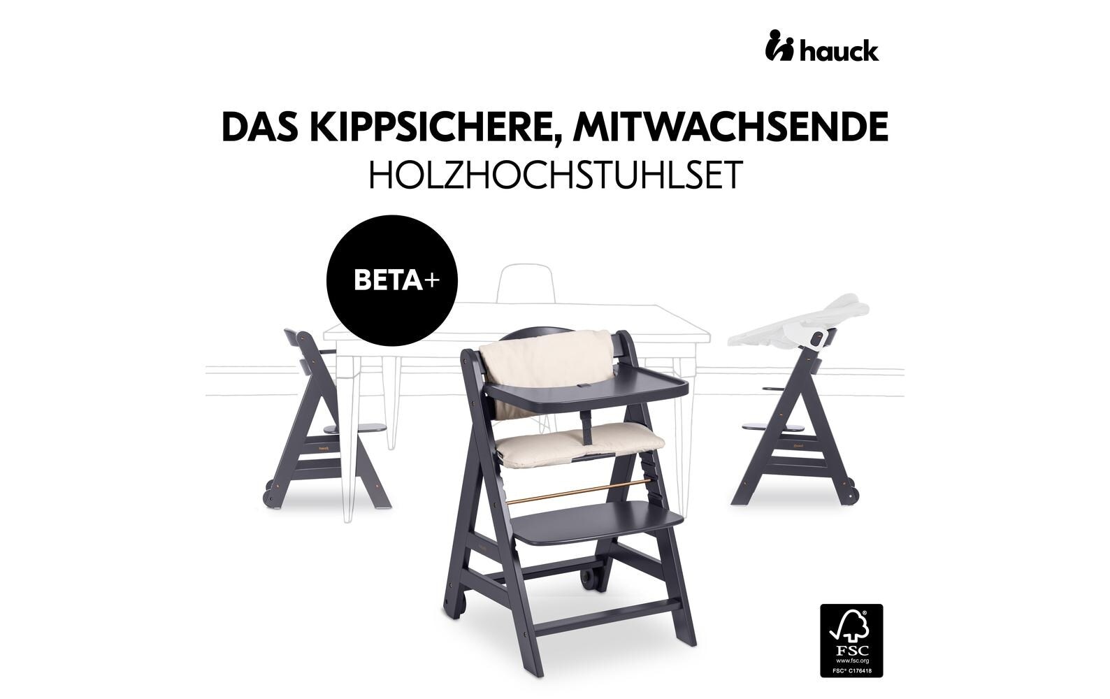 Hauck Hochstuhl »Beta+«