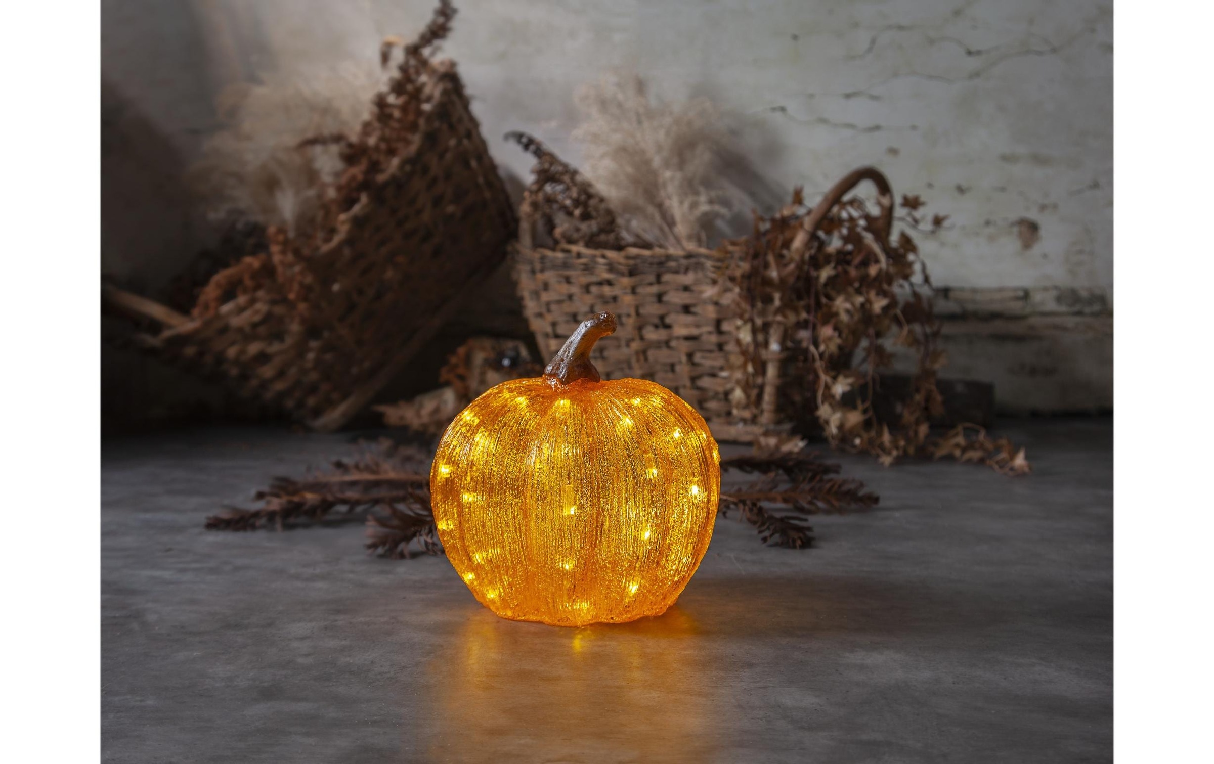 Parforce Traditional Hunting LED Solarleuchte »Harvy Warmweiss, 50 LEDS«