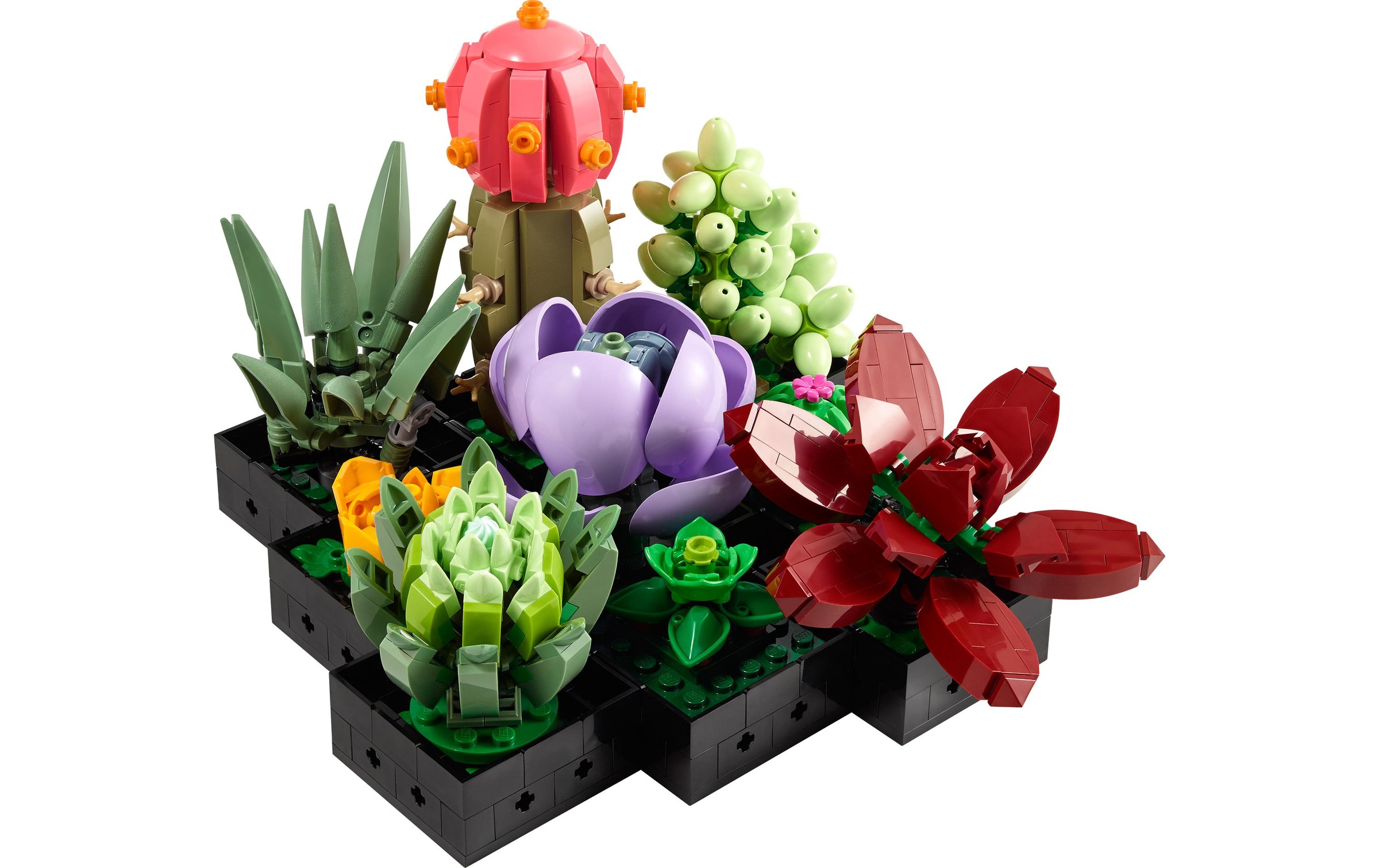 LEGO® Konstruktionsspielsteine »LEGO Sukkulenten 10309«, (771 St.)