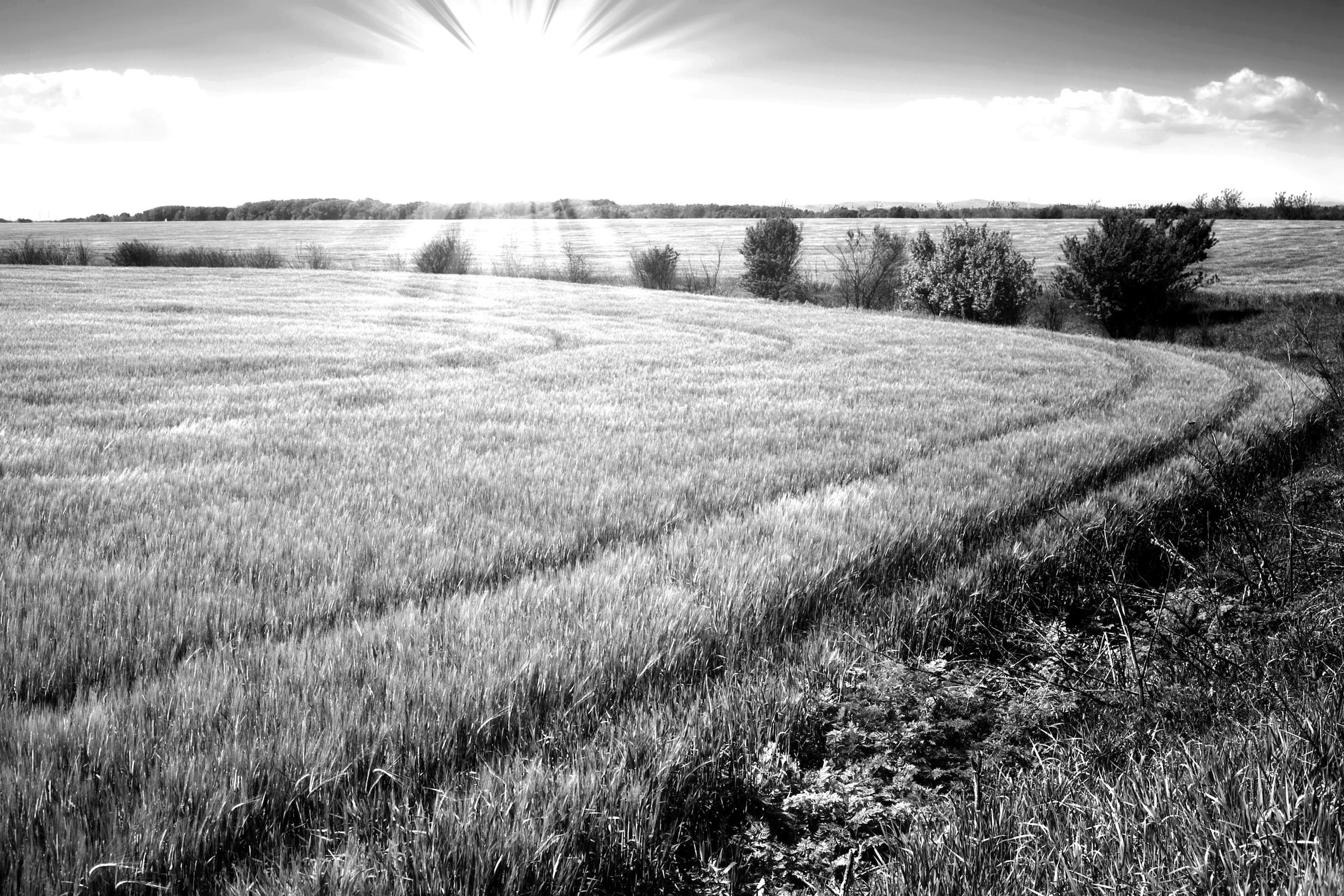 Papermoon Fototapete »Landschaft schwarz & weiss«