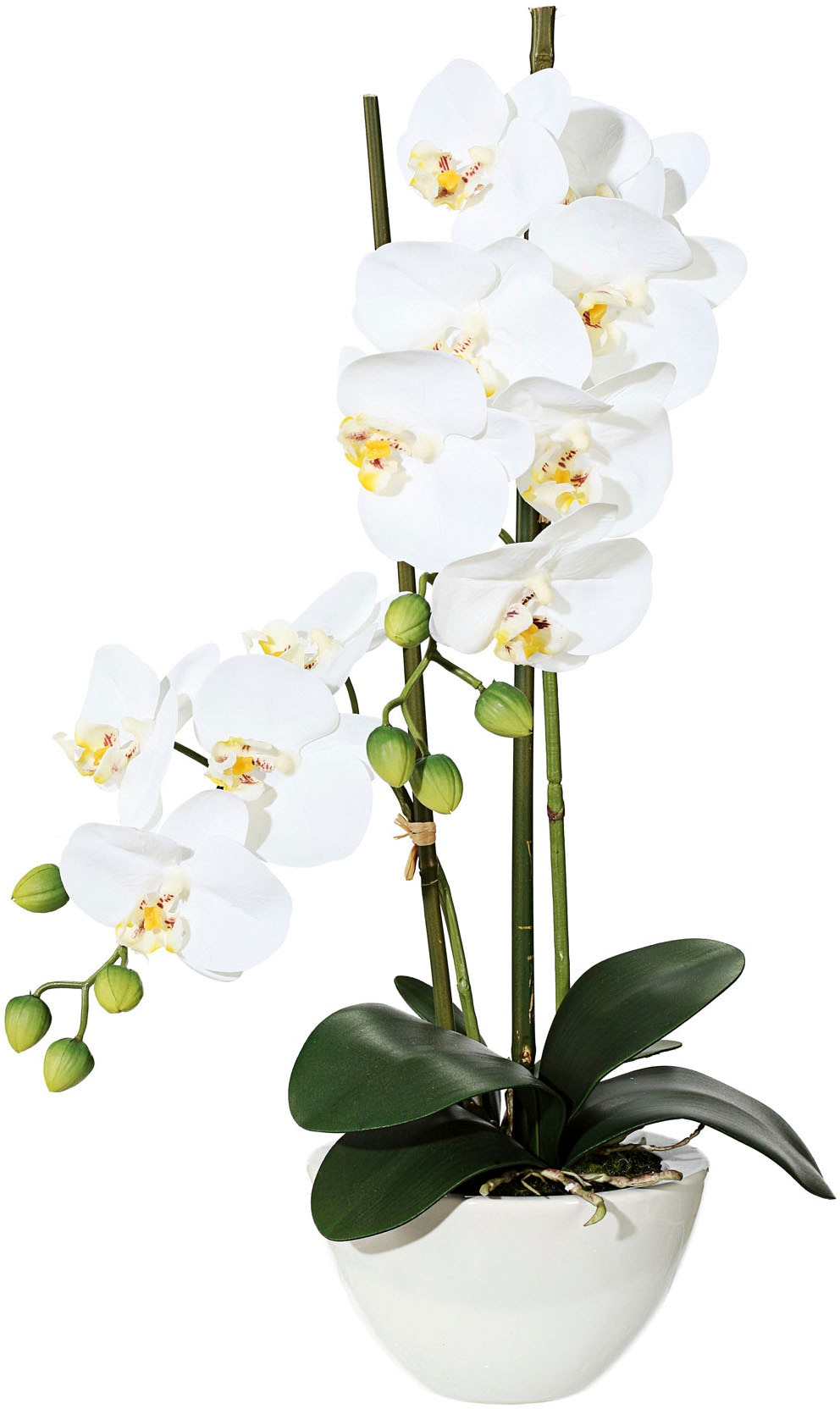 Creativ green Kunstpflanze »Orchidee«