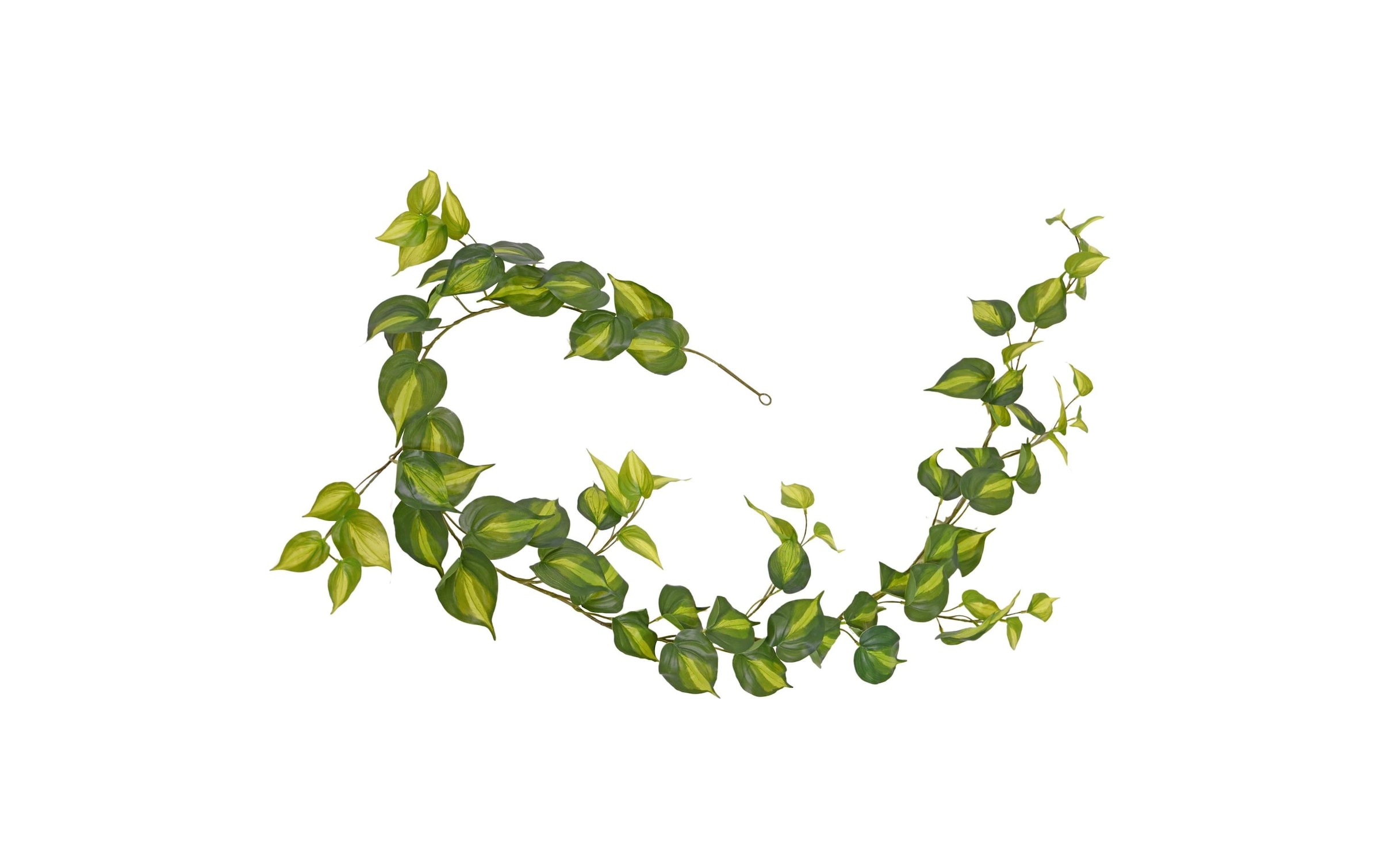 Botanic-Haus Kunstblume »Philodendron Scandens Brasil 180 cm«