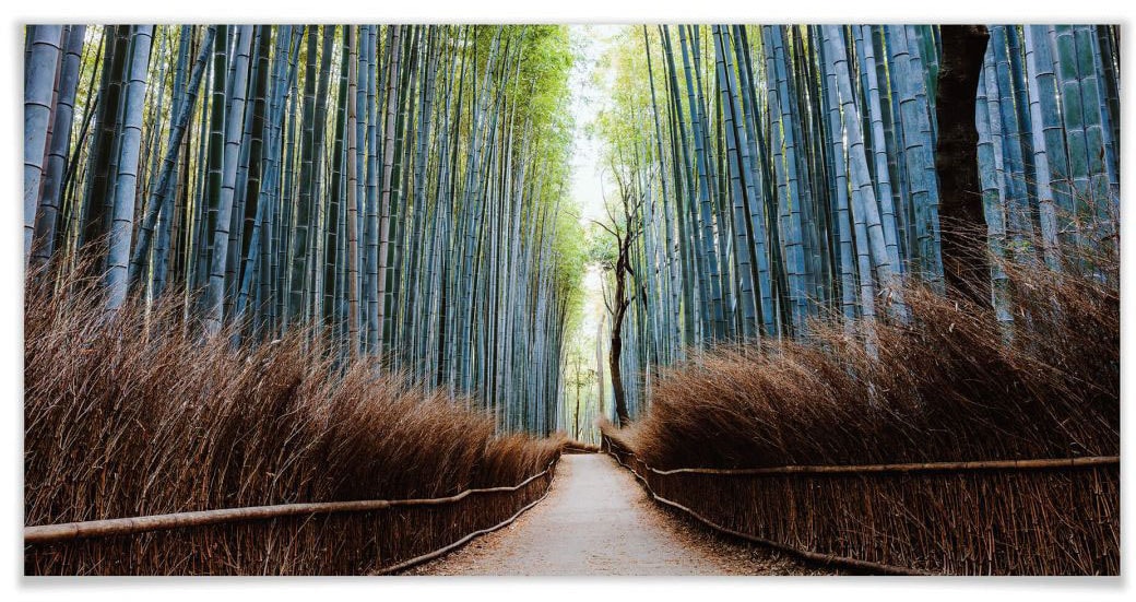 Wandbild, Jelmoli-Versand Wandposter »Bambushöhle (1 Poster, | Poster St.), Höhlen, Wall-Art Bild, Japan«, shoppen online