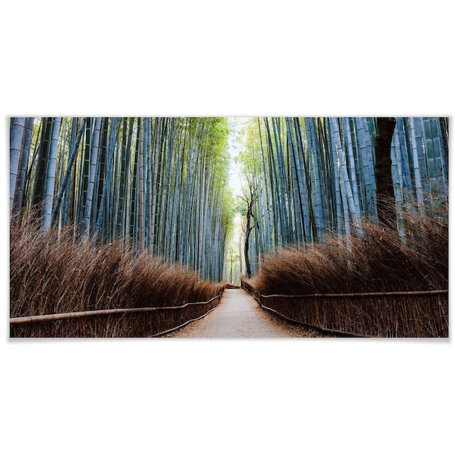 Wall-Art Poster »Bambushöhle Japan«, Höhlen, (1 St.), Poster, Wandbild, Bild,  Wandposter online shoppen | Jelmoli-Versand