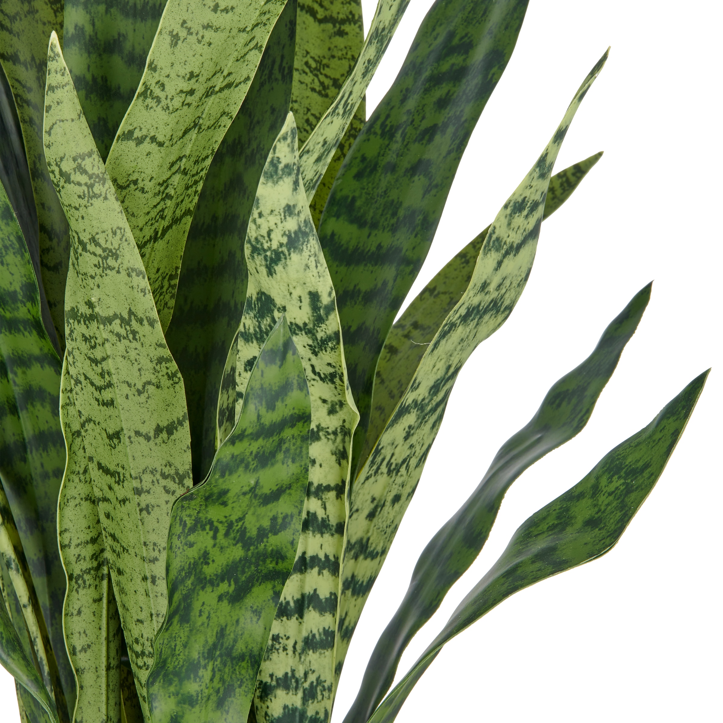 Creativ green Kunstpflanze »Sansevieria zeylanica«, im eleganten Topf