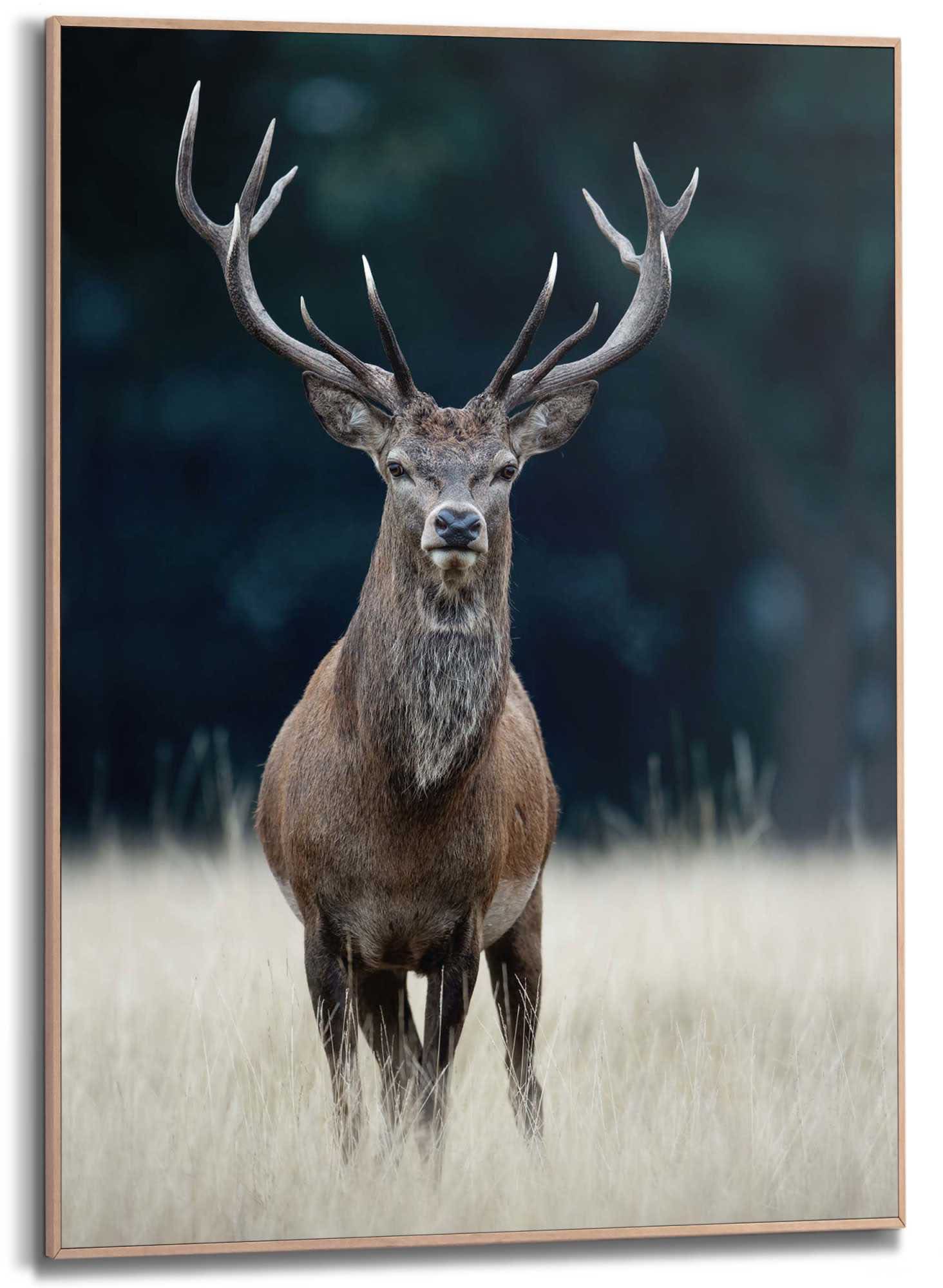 ❤ Reinders! Wandbild »Slim Frame Wood 50x70 Deer« kaufen im Jelmoli-Online  Shop