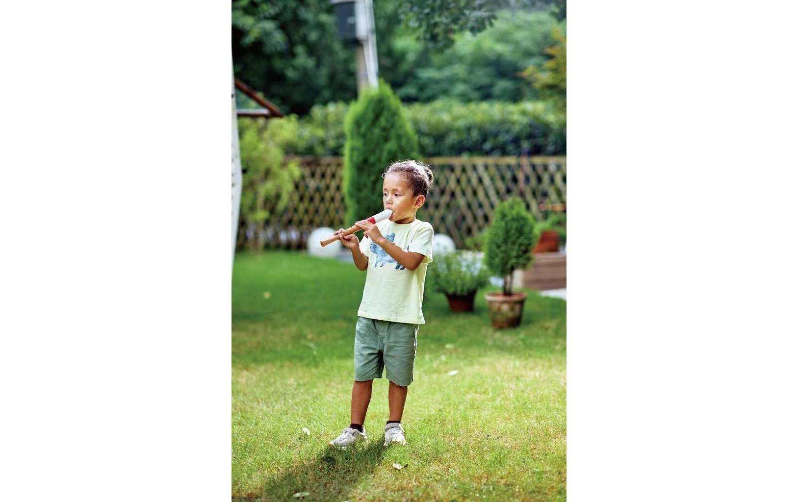 Hape Spielzeug-Musikinstrument »Musician's Starter Recorder«