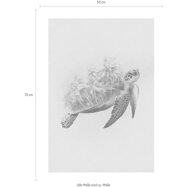 ❤ Komar Poster »Animals Paradise Turtle«, Tiere, Kinderzimmer, Schlafzimmer,  Wohnzimmer kaufen im Jelmoli-Online Shop