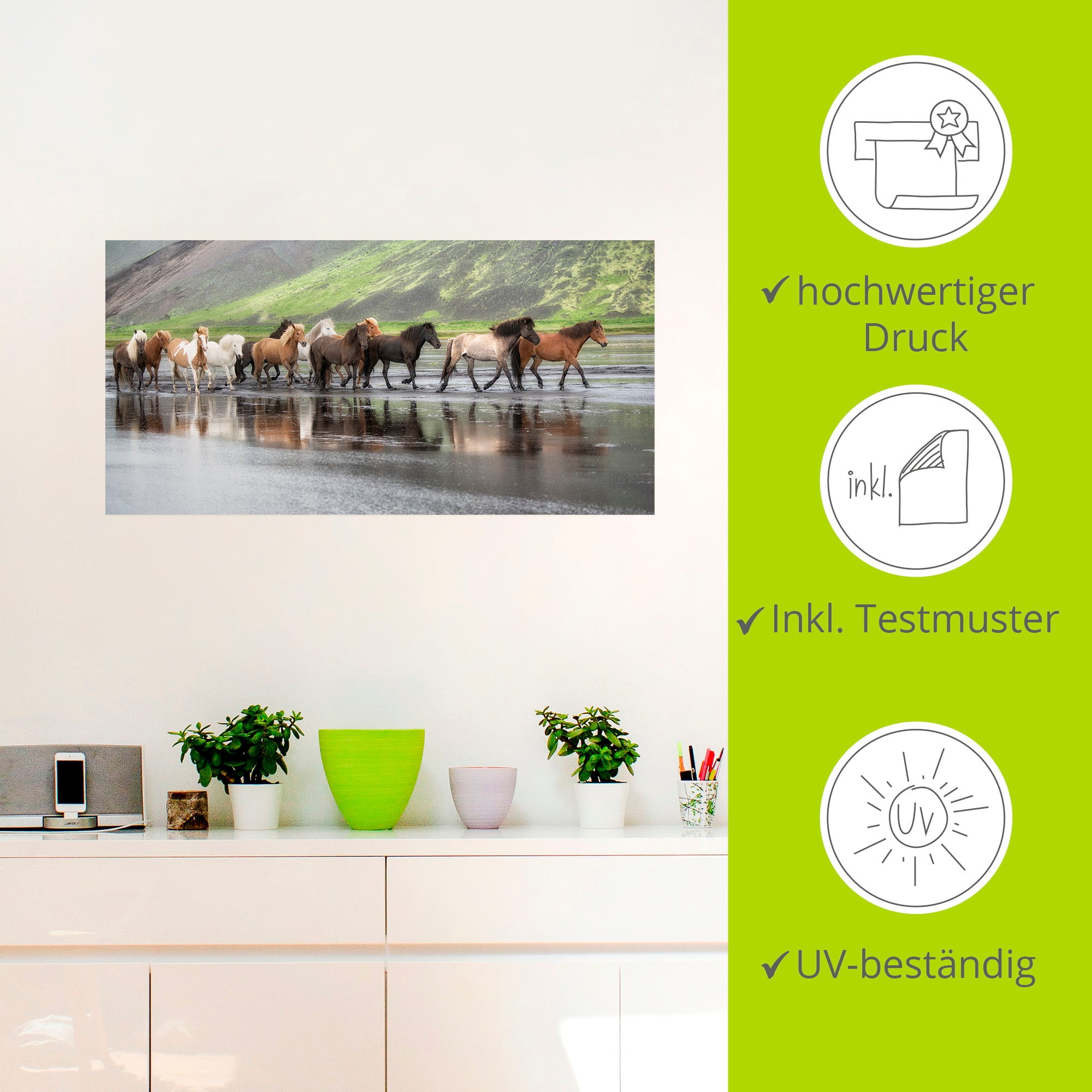 Artland Wandbild »Isländische Pferde XIV«, Haustiere, (1 St.), als Leinwandbild, Wandaufkleber in verschied. Grössen