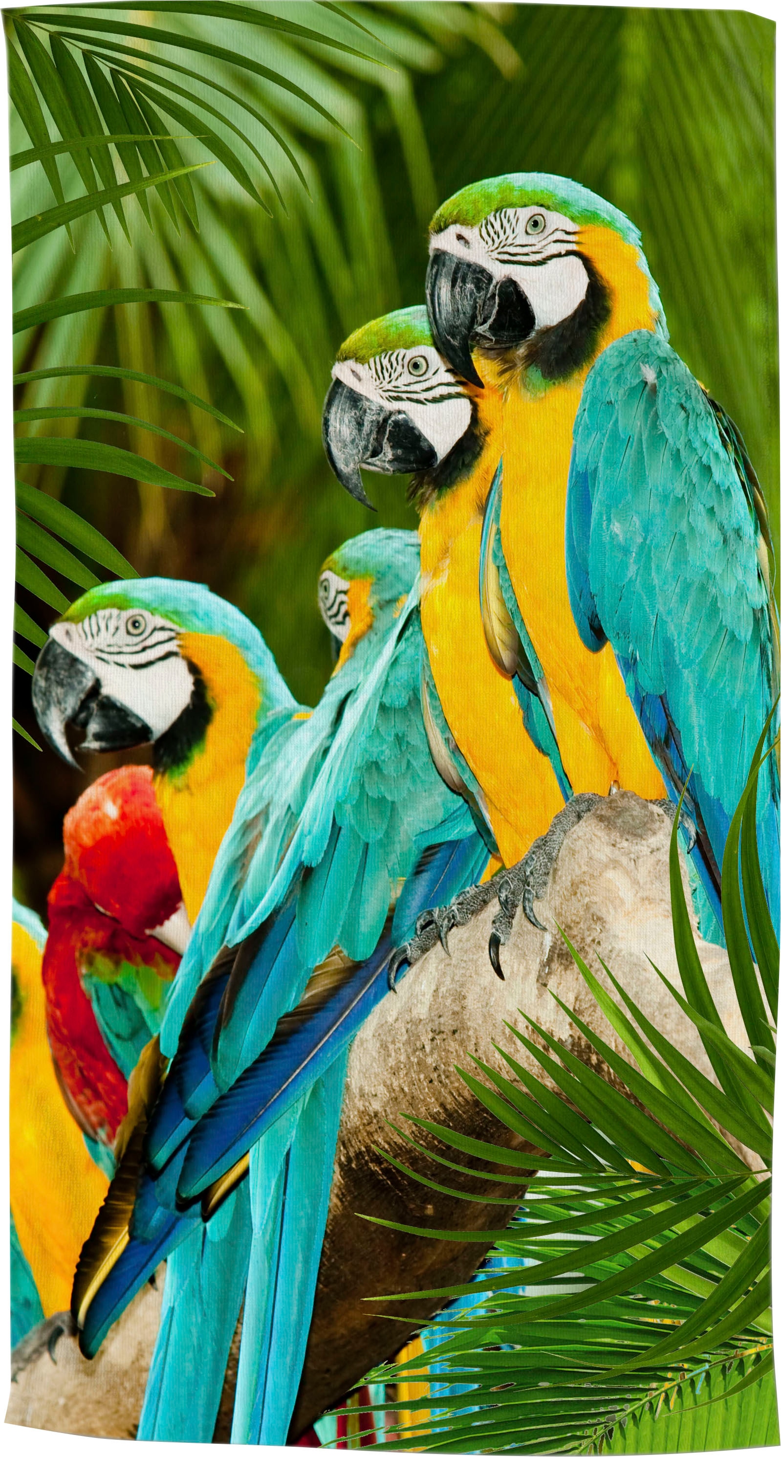 | Motiv mit morning Rückseite günstig Papageien, Jelmoli-Versand weisser St.), ✵ Strandtuch ordern good »Parrots«, (1