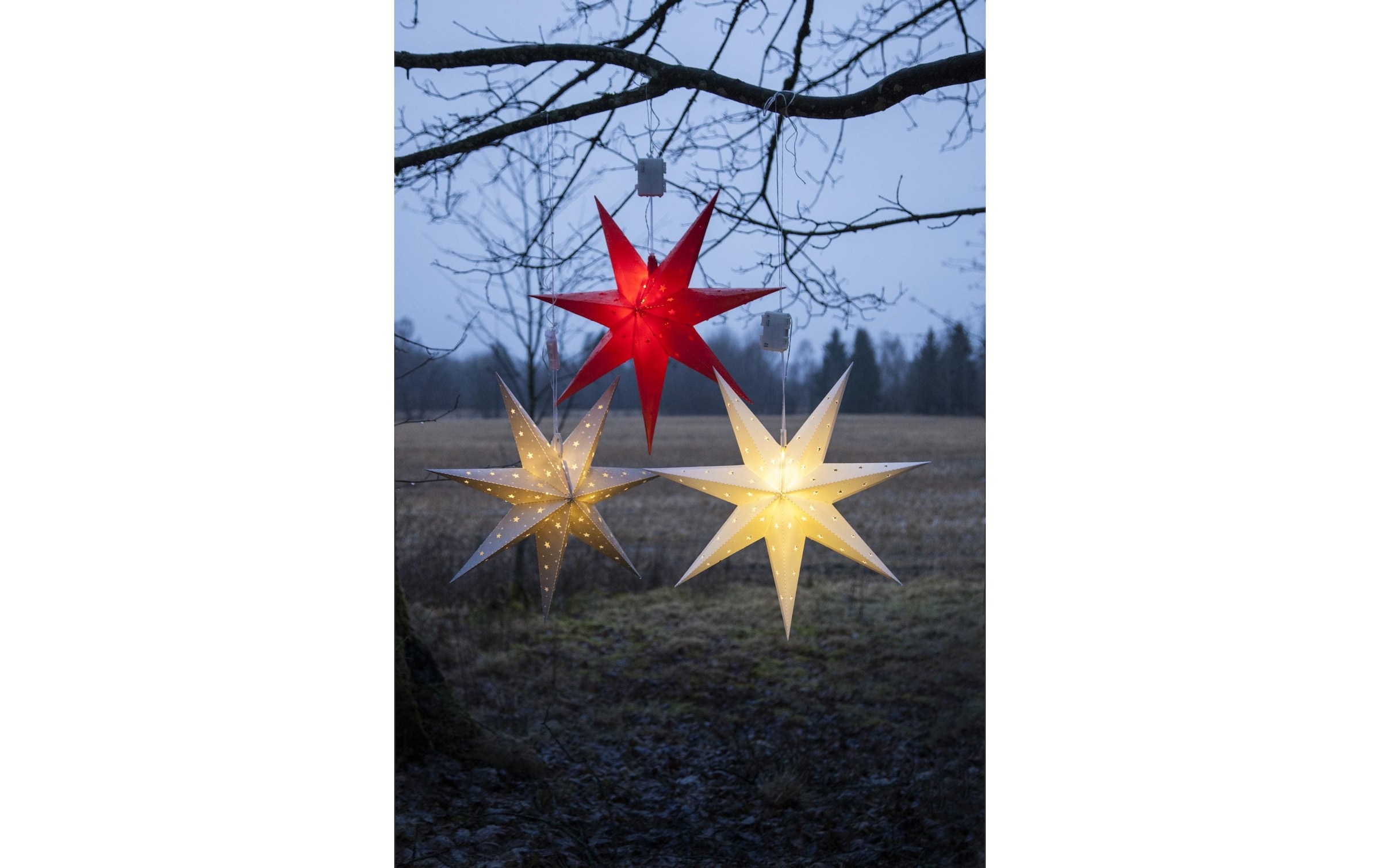 Parforce Traditional Hunting LED Dekolicht »Trading LED-Stern Alice Weiss«