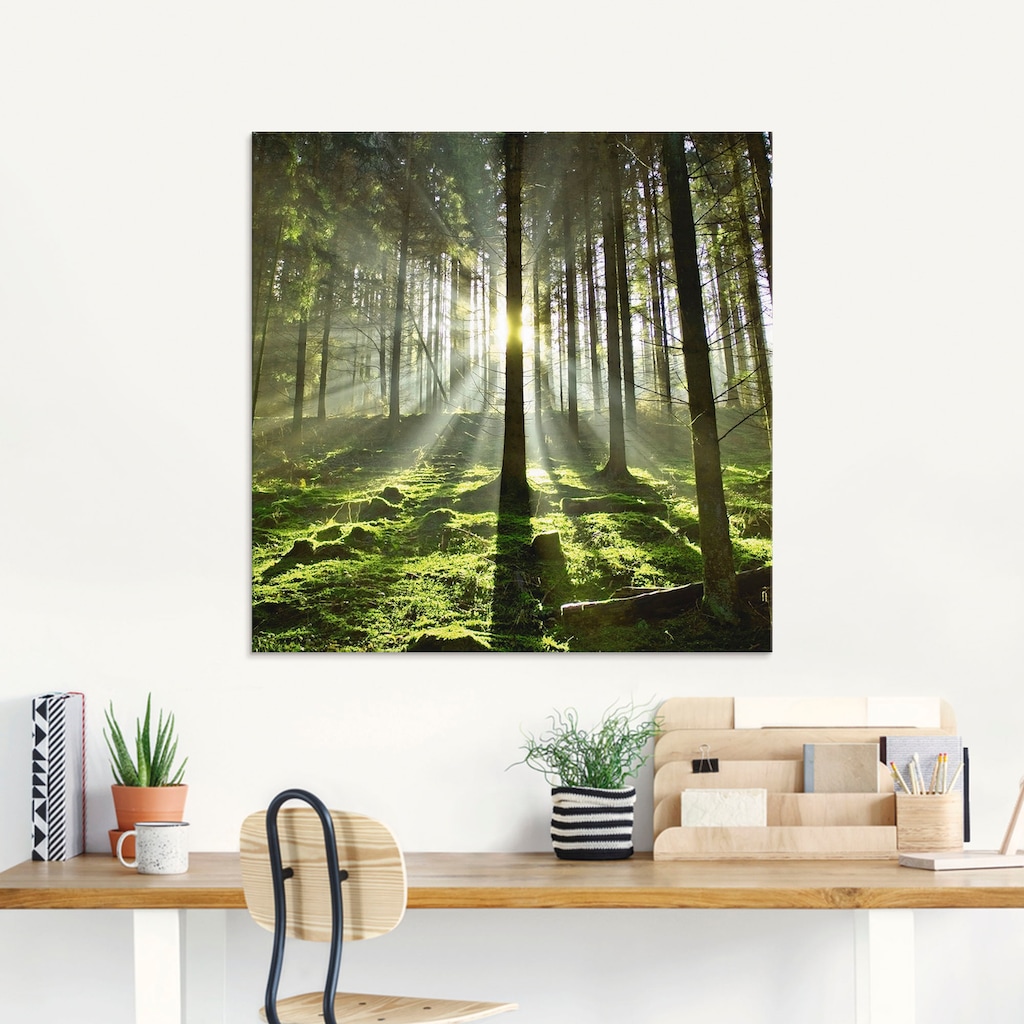 Artland Glasbild »Wald im Gegenlicht«, Wald, (1 St.)