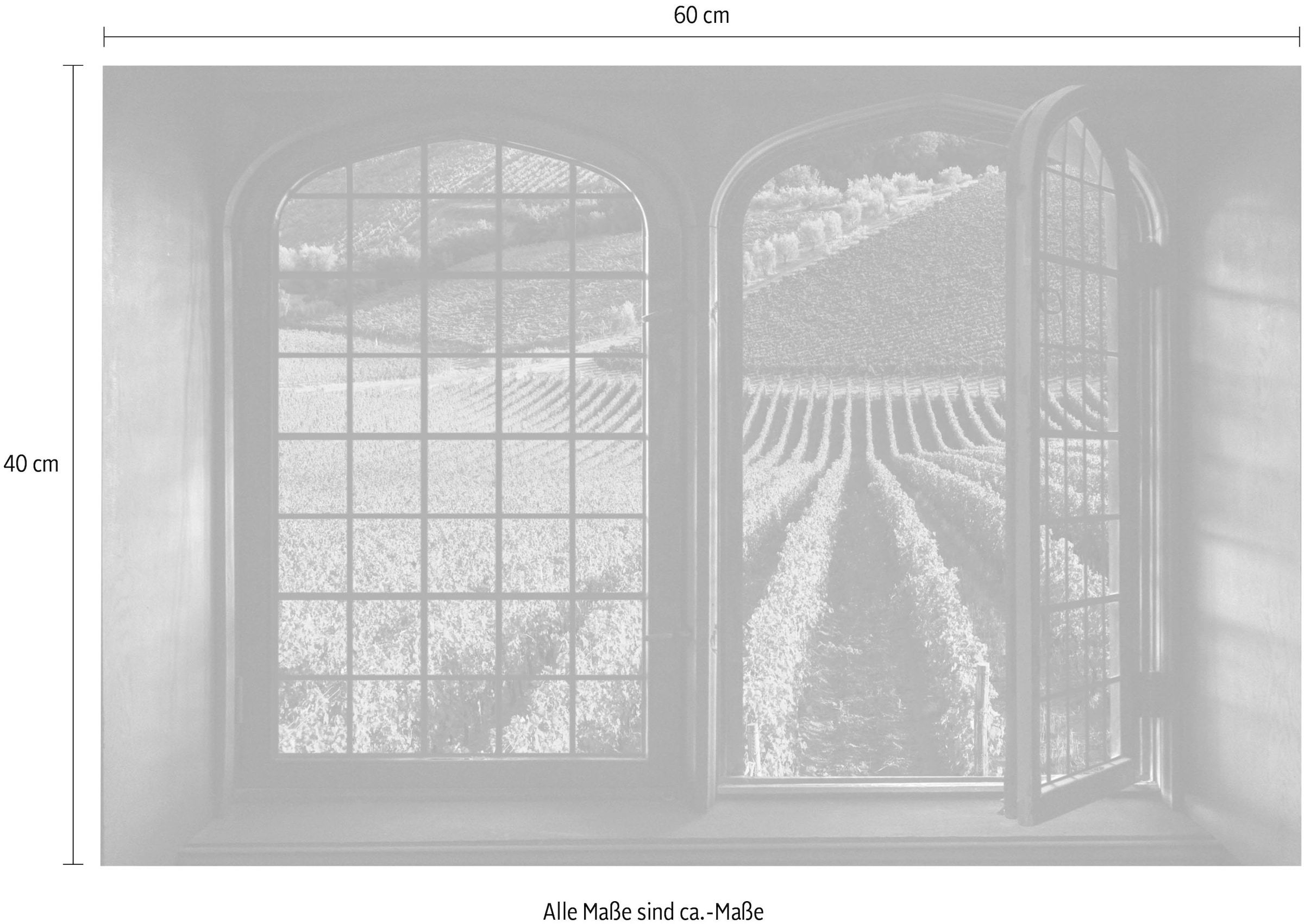 queence Wandsticker »Weinreben«, Wandsticker, Wandbild, selbstklebend, 3D, Fenster