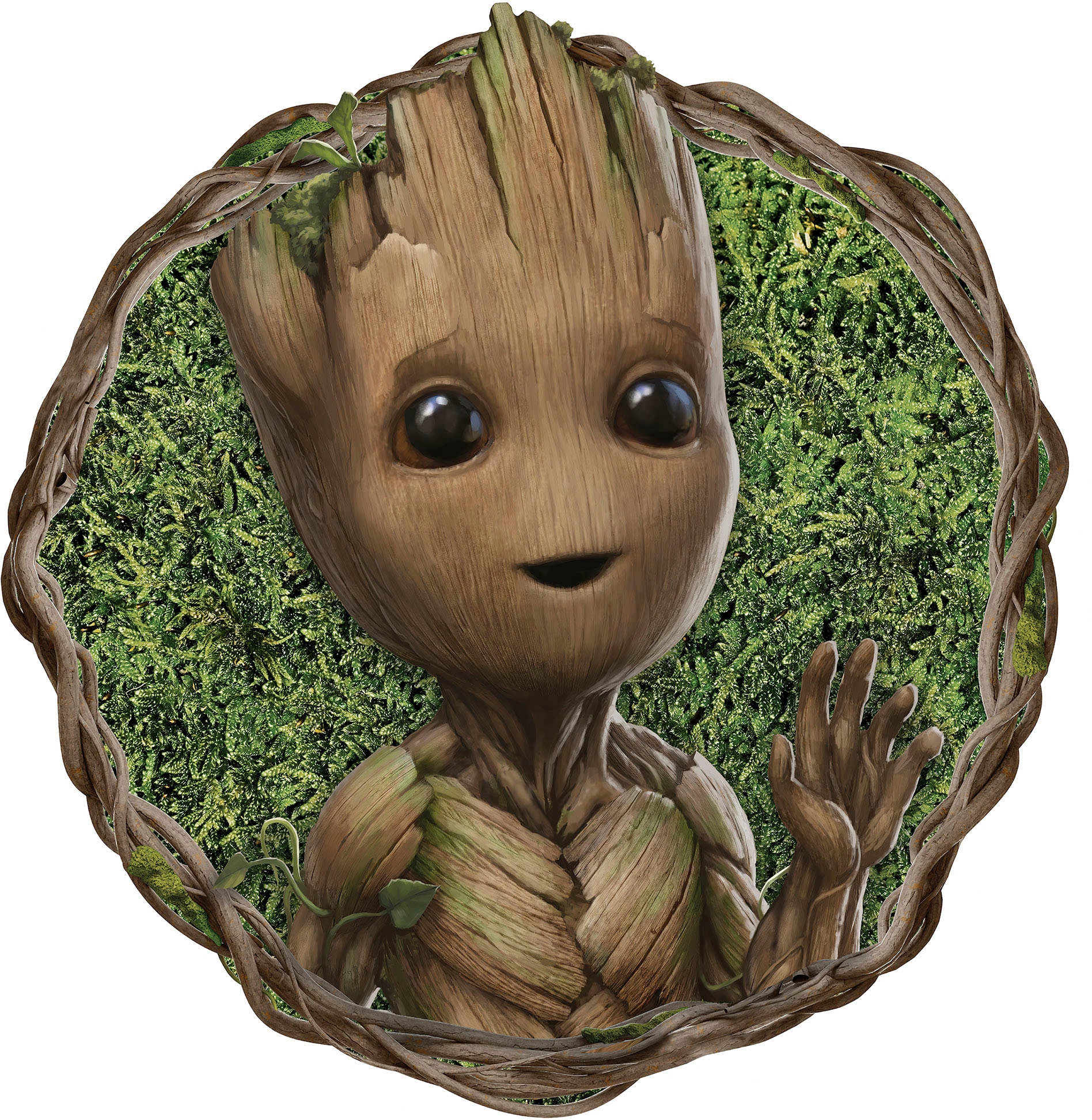 Komar Wandtattoo »selbstklebendes Vlies - Groot Little Twig - Grösse 125 x 125 cm«, (1 St.), rund und selbstklebend