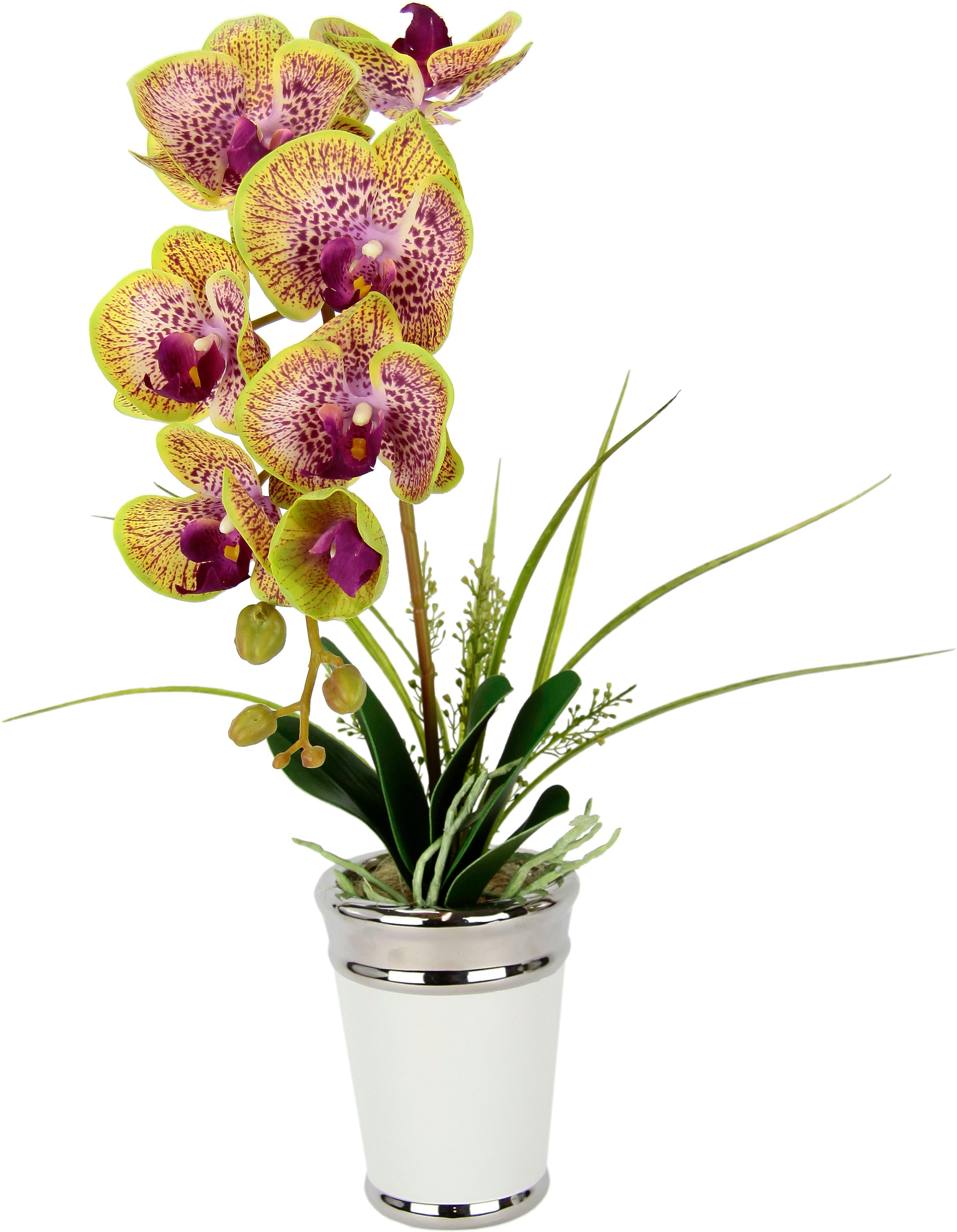 I.GE.A. Kunstblume »Orchidee«, im Topf, aus Keramik, Seidenblume Real Touch