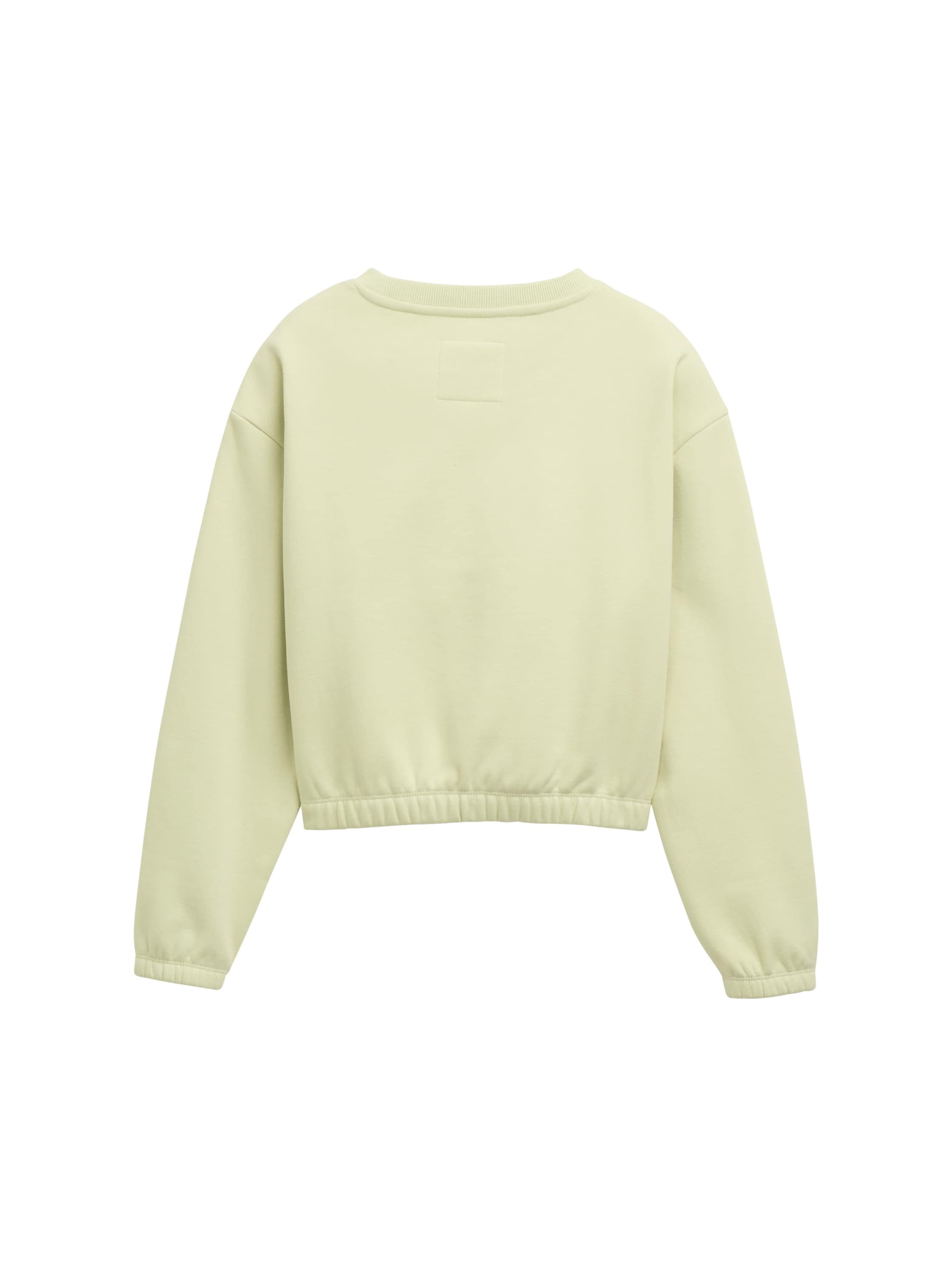 TOM TAILOR Sweater, mit Statement-Print