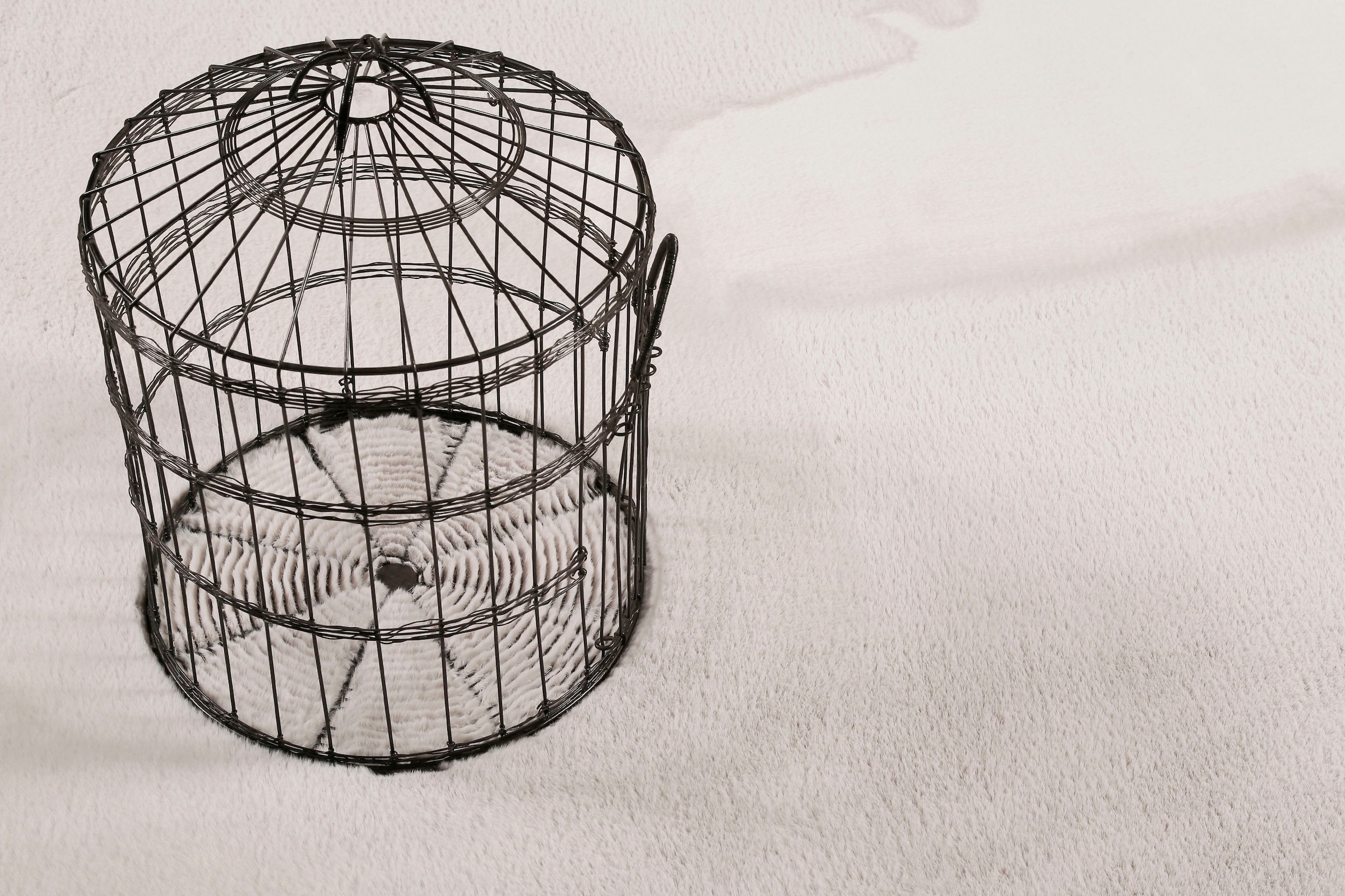 Esprit Hochflor-Teppich »Alice Kunstfell«, rund, Kaninchenfell-Haptik, besonders  weich und dicht, für alle Räume online bestellen | Jelmoli-Versand