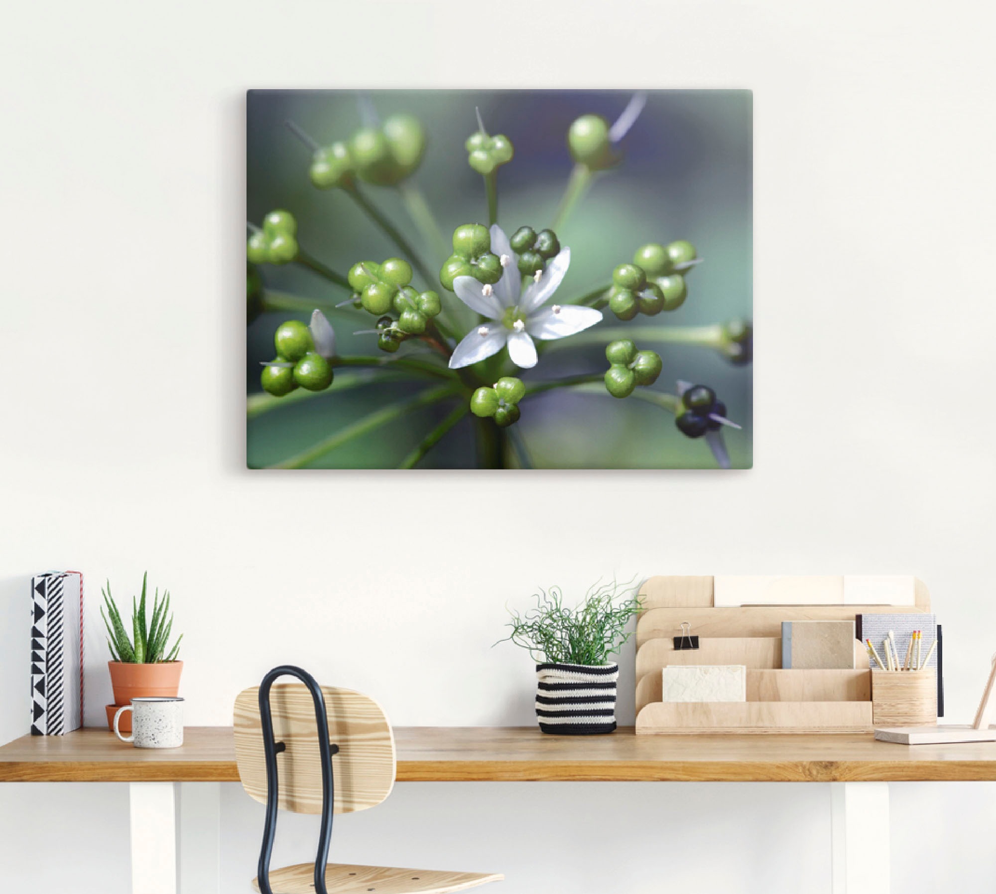 Artland Wandbild »Bärlauchblüte«, Blumen, (1 St.), als Leinwandbild, Poster in verschied. Grössen