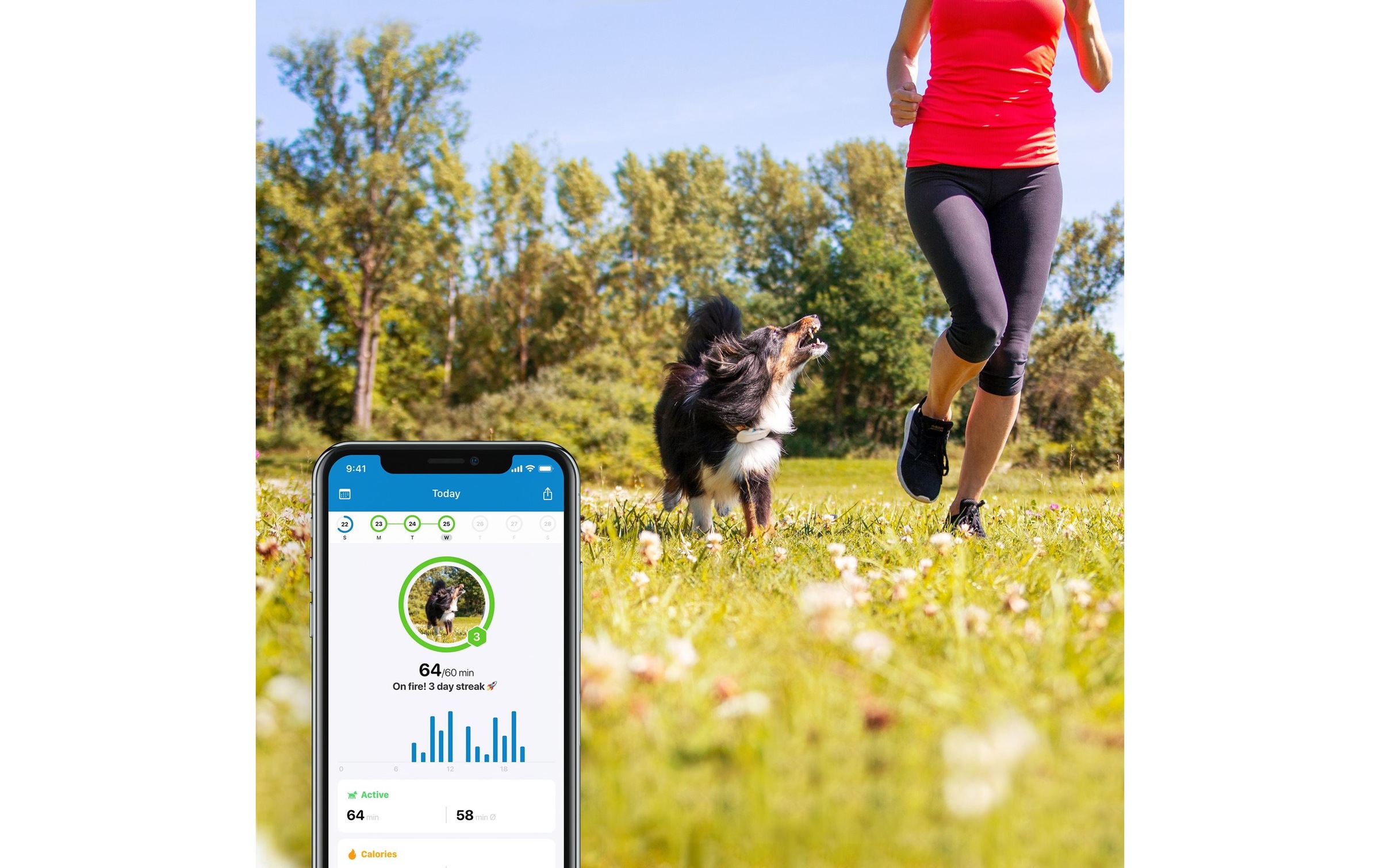 Tractive GPS-Tracker »Hunde GPS DOG LTE«