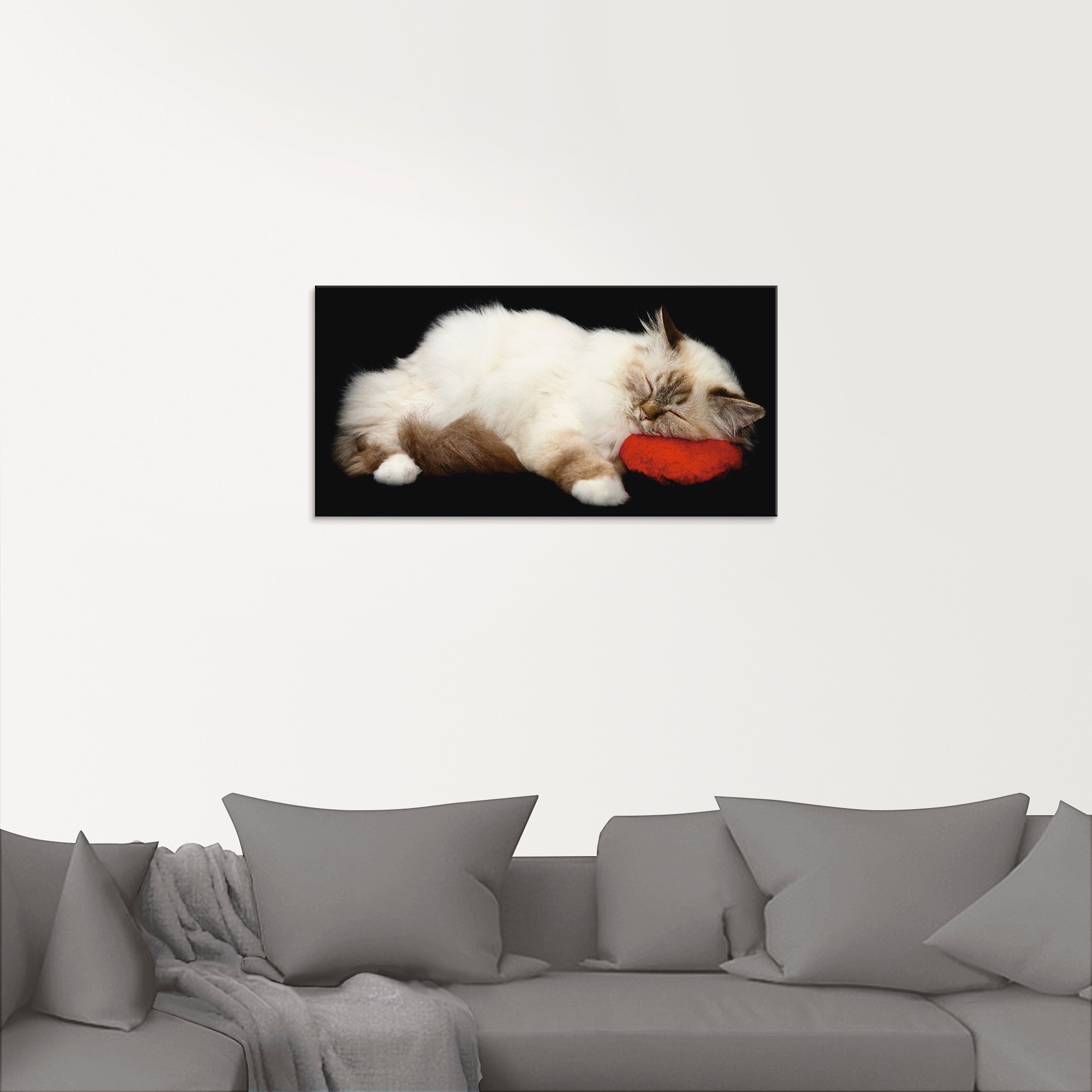 Artland Glasbild »Müde Katze«, Haustiere, (1 St.), in verschiedenen Grössen
