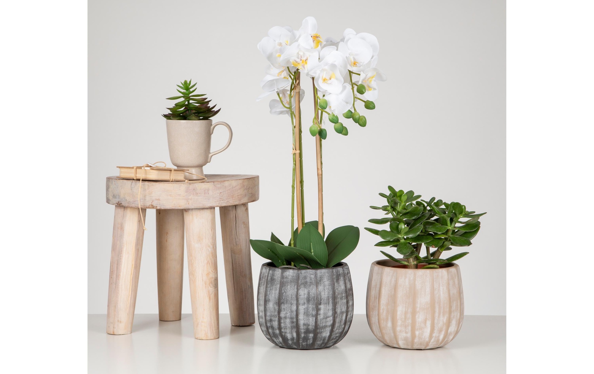 Scheurich Blumentopf »Runa 13 l«