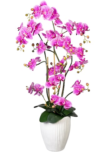Kunstorchidee »Deko-Orchidee Phalaenopsis XL im Keramiktopf«