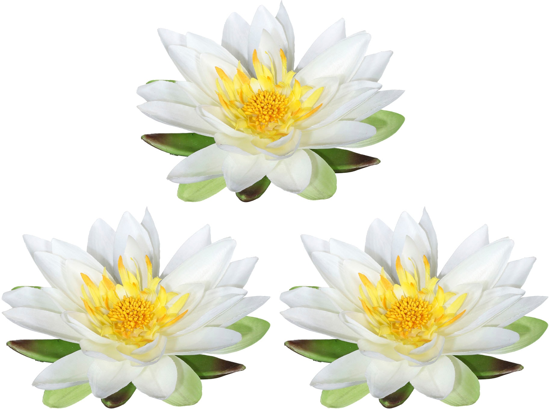 3er Kunstblume Creativ im bestellen online | Jelmoli-Versand Set green »Lotusblüte«,