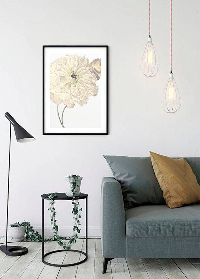 ❤ Komar Poster »Illustration Dahlia«, bestellen Wohnzimmer im Blumen, St.), Kinderzimmer, Jelmoli-Online Shop Schlafzimmer, (1