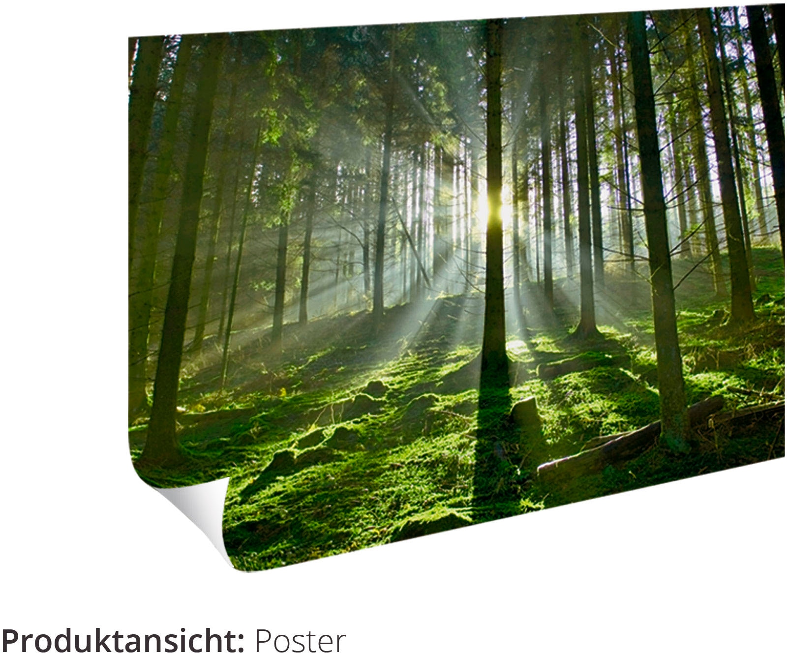 Artland Wandbild »Seebrücke in Ahlbeck Insel Usedom«, Strand, (1 St.), als Alubild, Leinwandbild, Wandaufkleber oder Poster in versch. Grössen