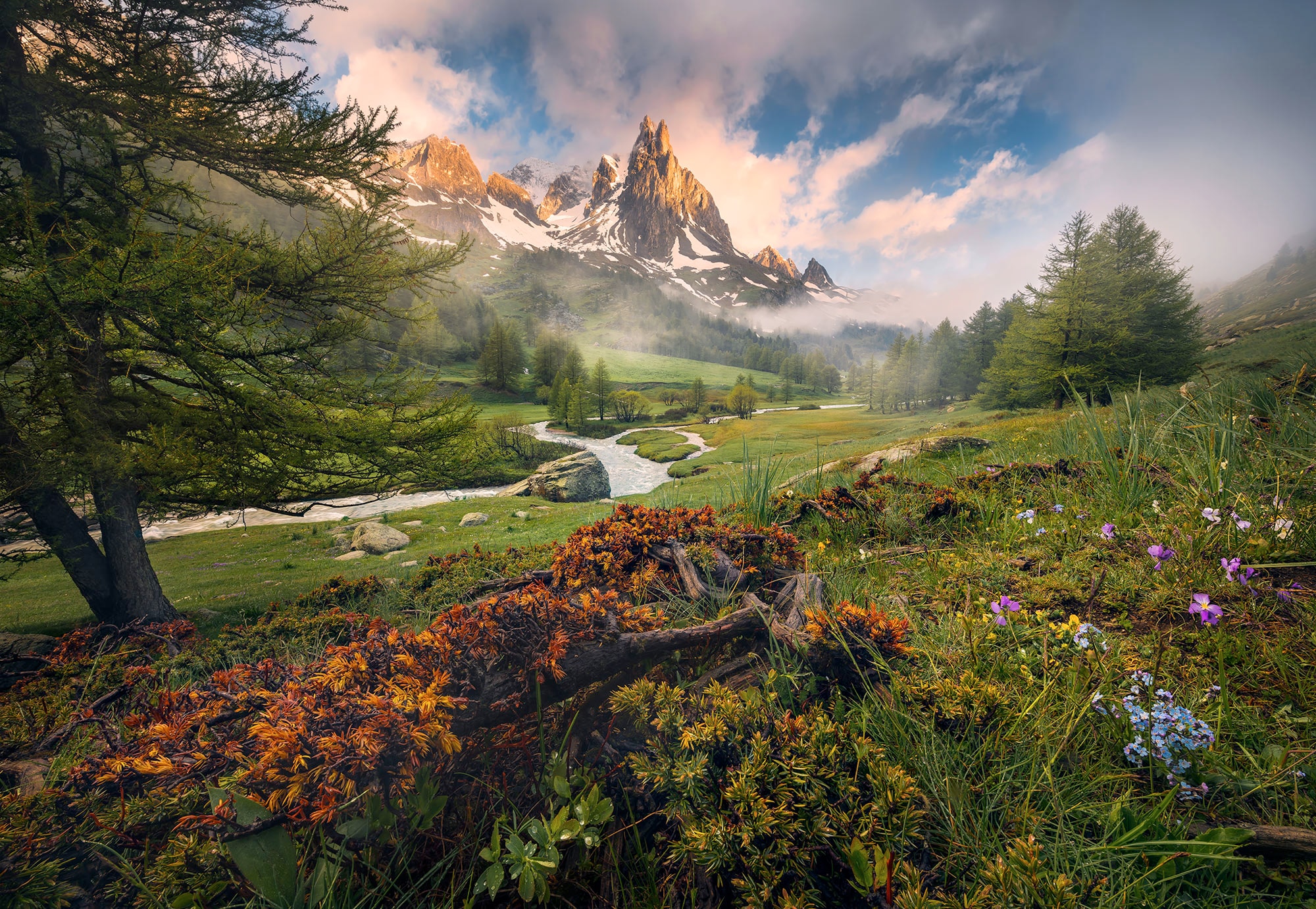 Komar Fototapete "Morning Walk - Grösse 368 x 254 cm" bedruckt glatt Wohnzimmer, Schlafzimmer