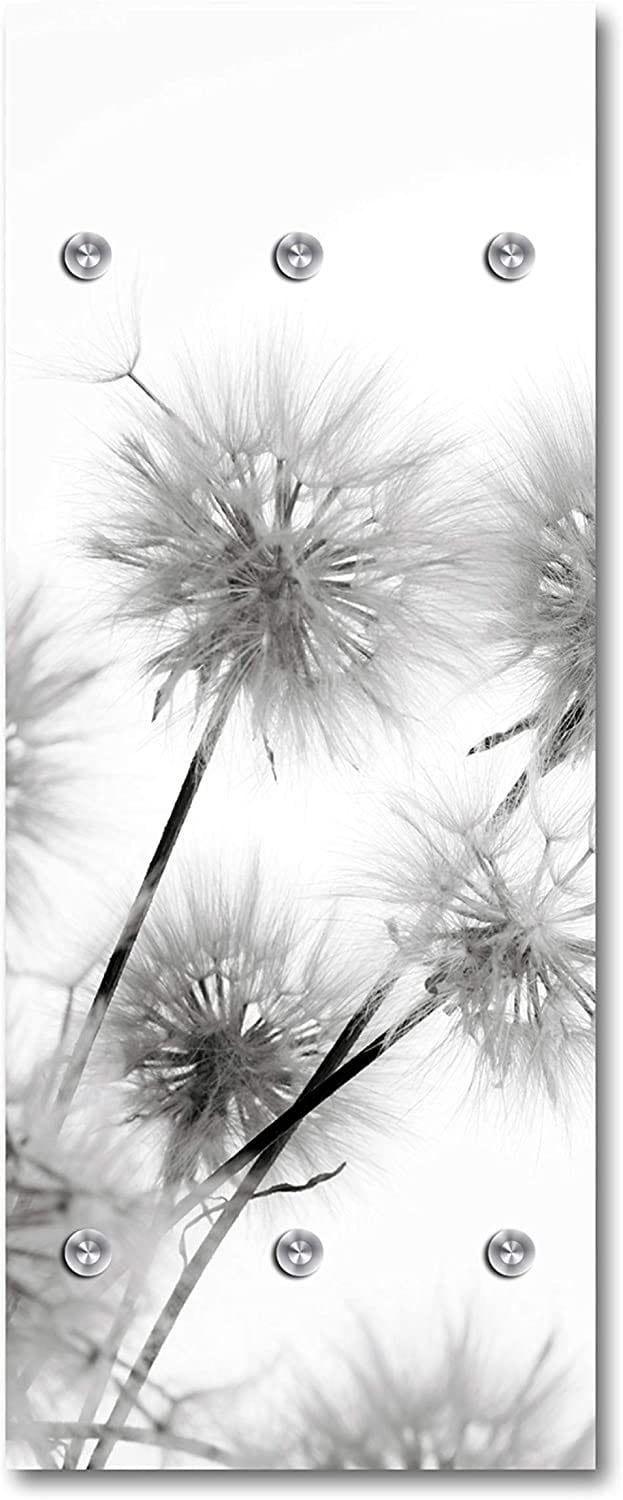 queence Garderobenleiste »Alamea«, Pusteblume, schwarz, weiss, Garderobe