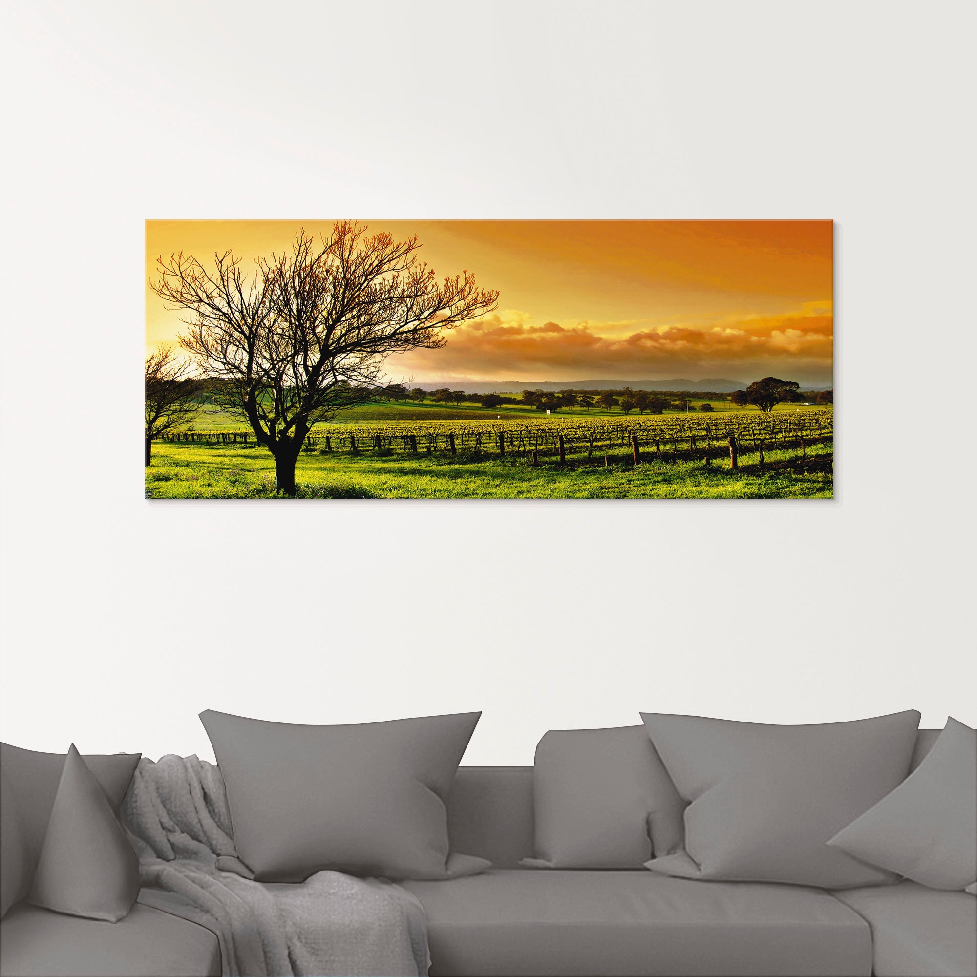 Artland Glasbild »Landschaft mit Weinbergen«, Felder, (3 St.), in verschiedenen Grössen