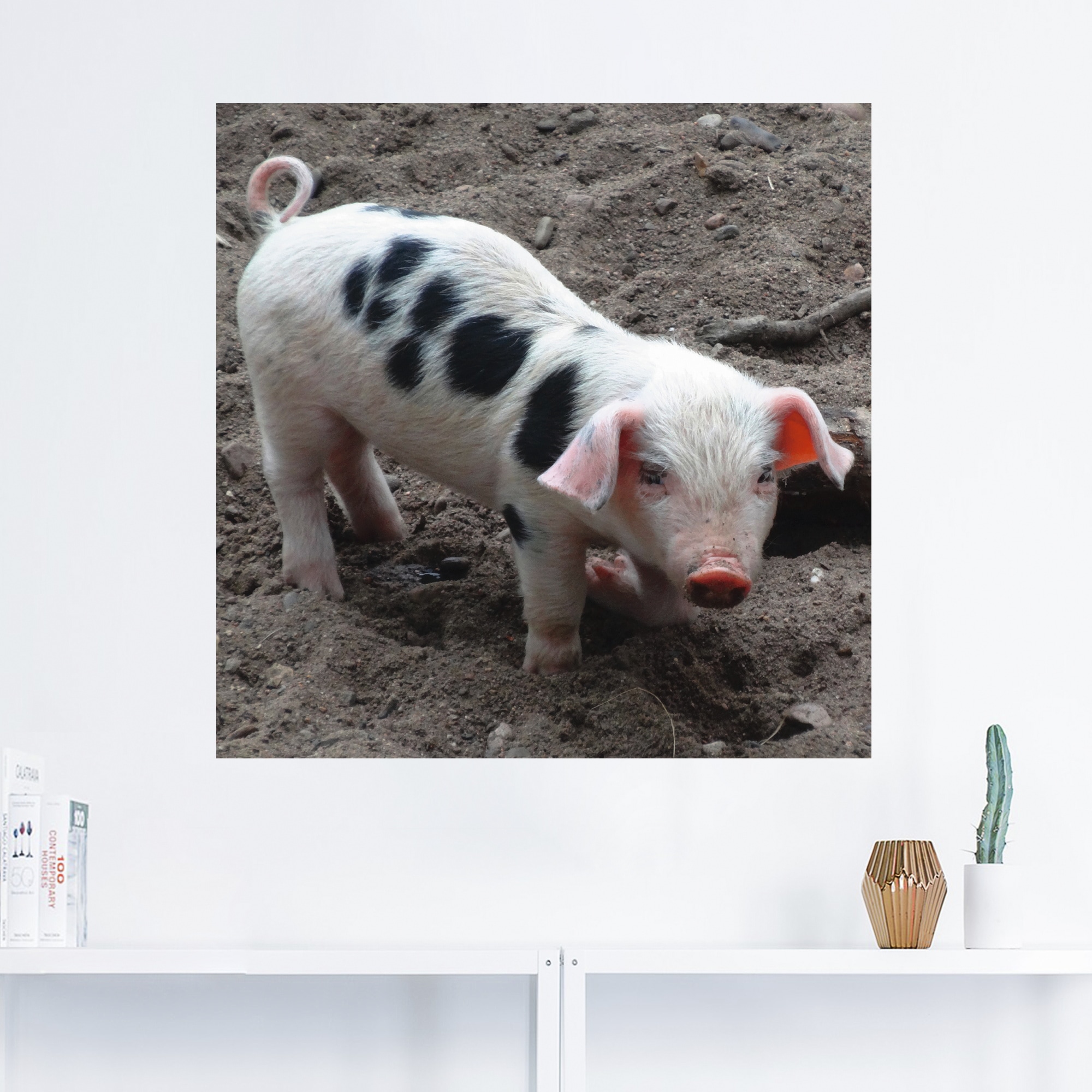 Artland Wandfolie »Niedliches Ferkel«, Haustiere, (1 St.), selbstklebend