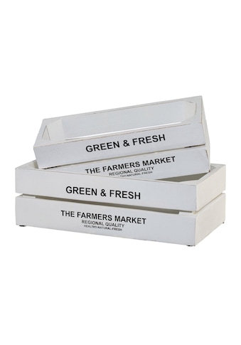 Creativ home Kiste »Green&Fresh«, (Set, 2), 2er Set kaufen