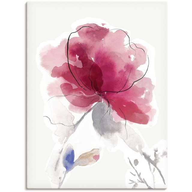 Artland Wandbild »Rosige Blüte II.«, Blumenbilder, (1 St.), als Alubild,  Leinwandbild, Wandaufkleber oder Poster in versch. Grössen online kaufen |  Jelmoli-Versand